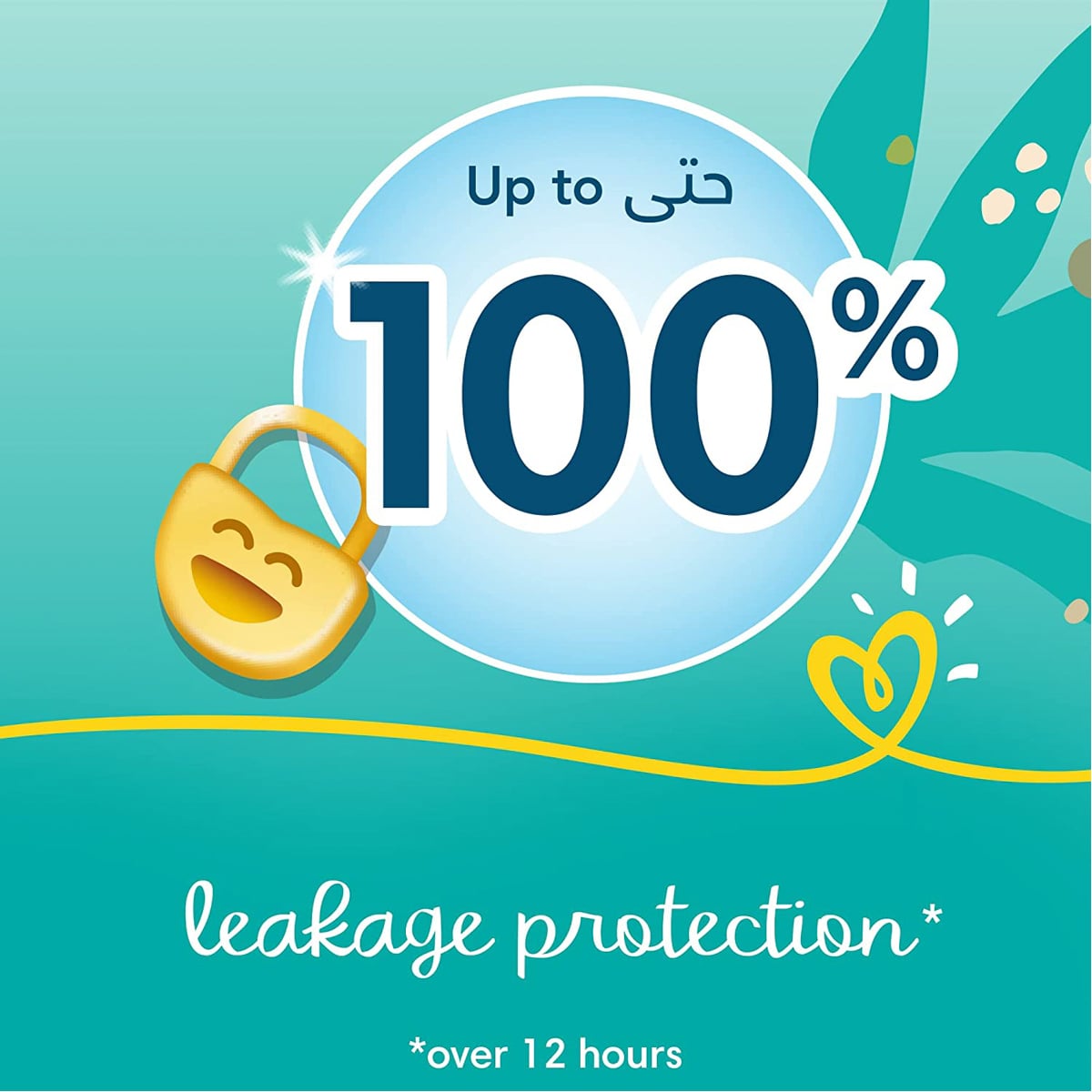 صورة 2