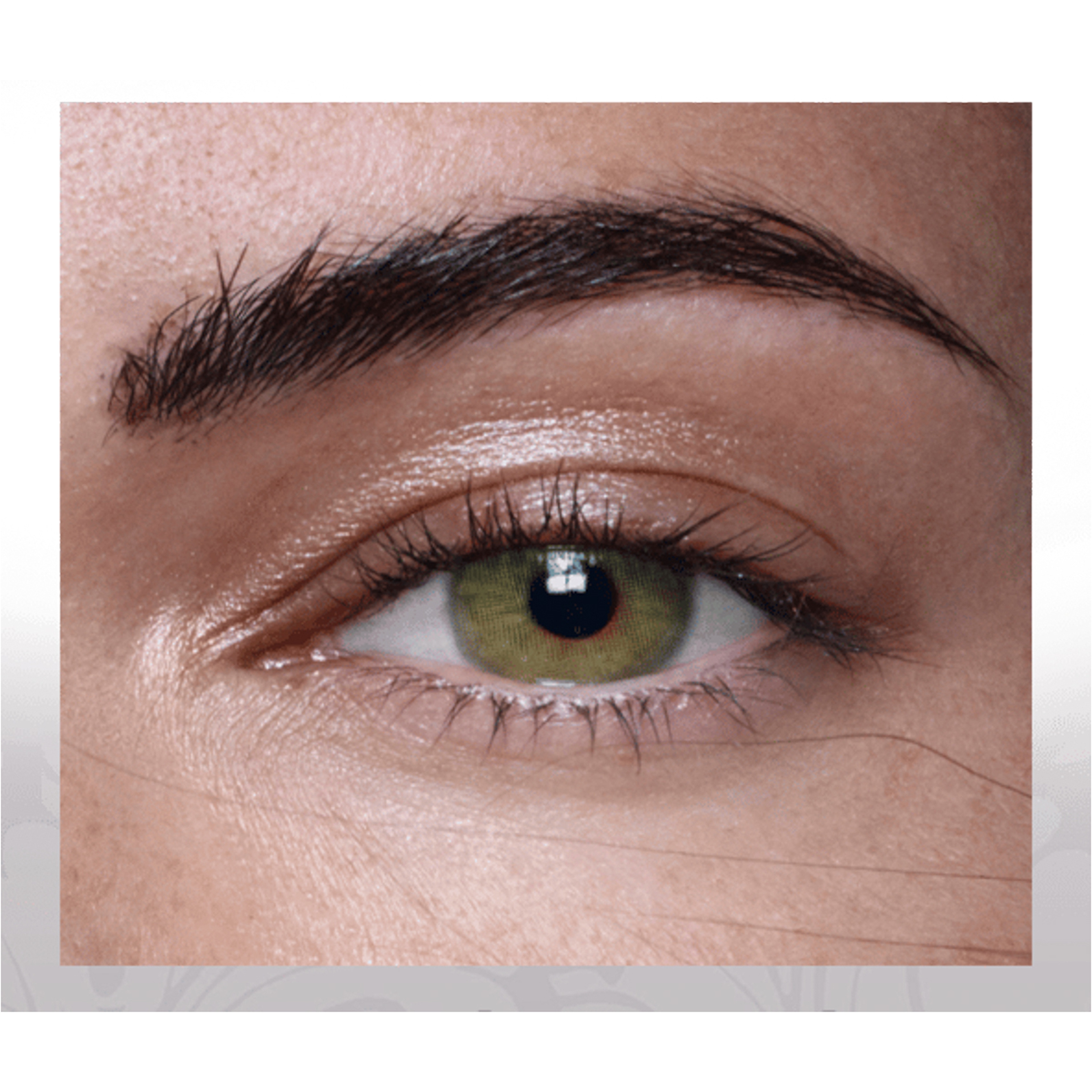 اناستازيا عدسات لاصقة شهرية