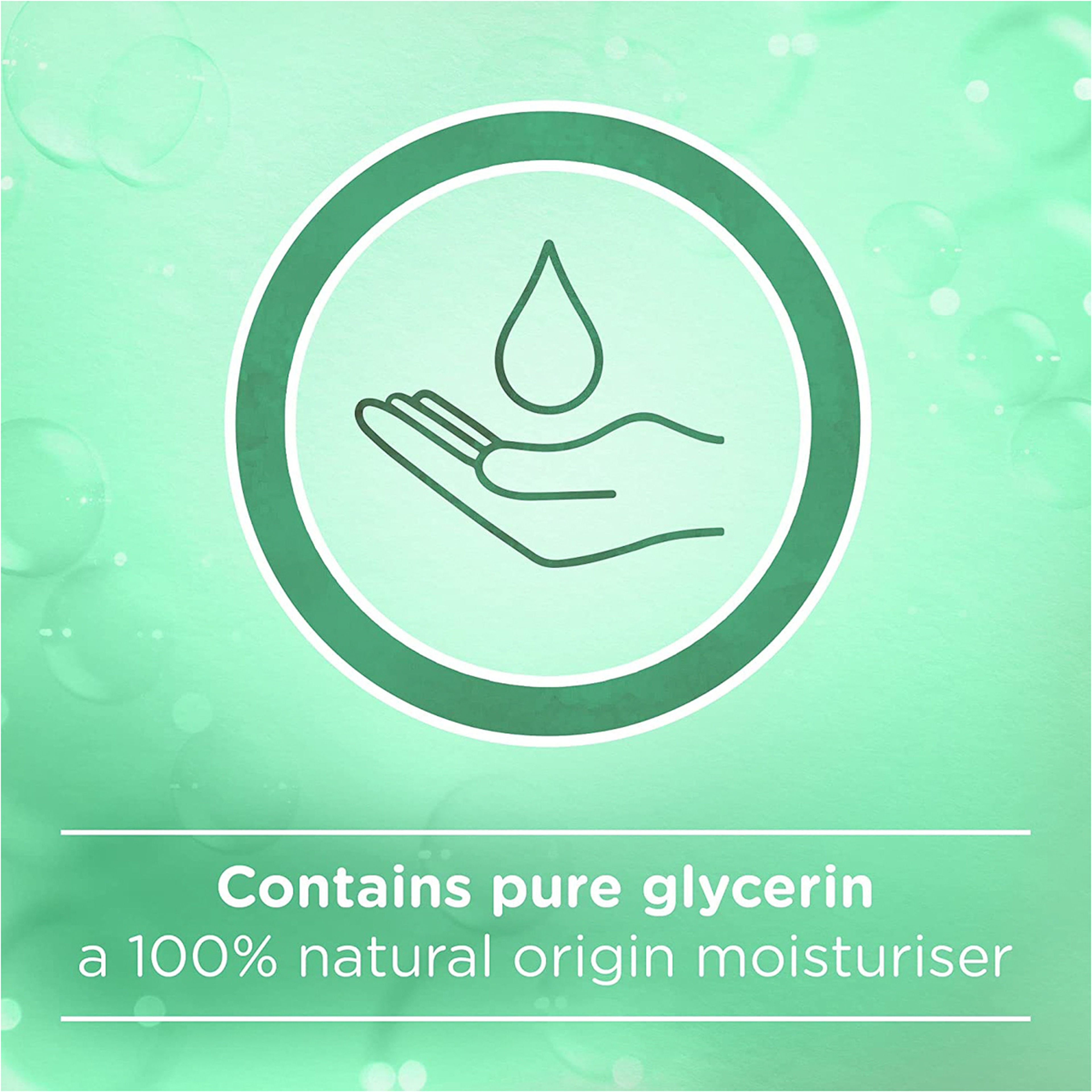 Anti-Bacterial Micellar Hand Wash, Mint, 300 Ml