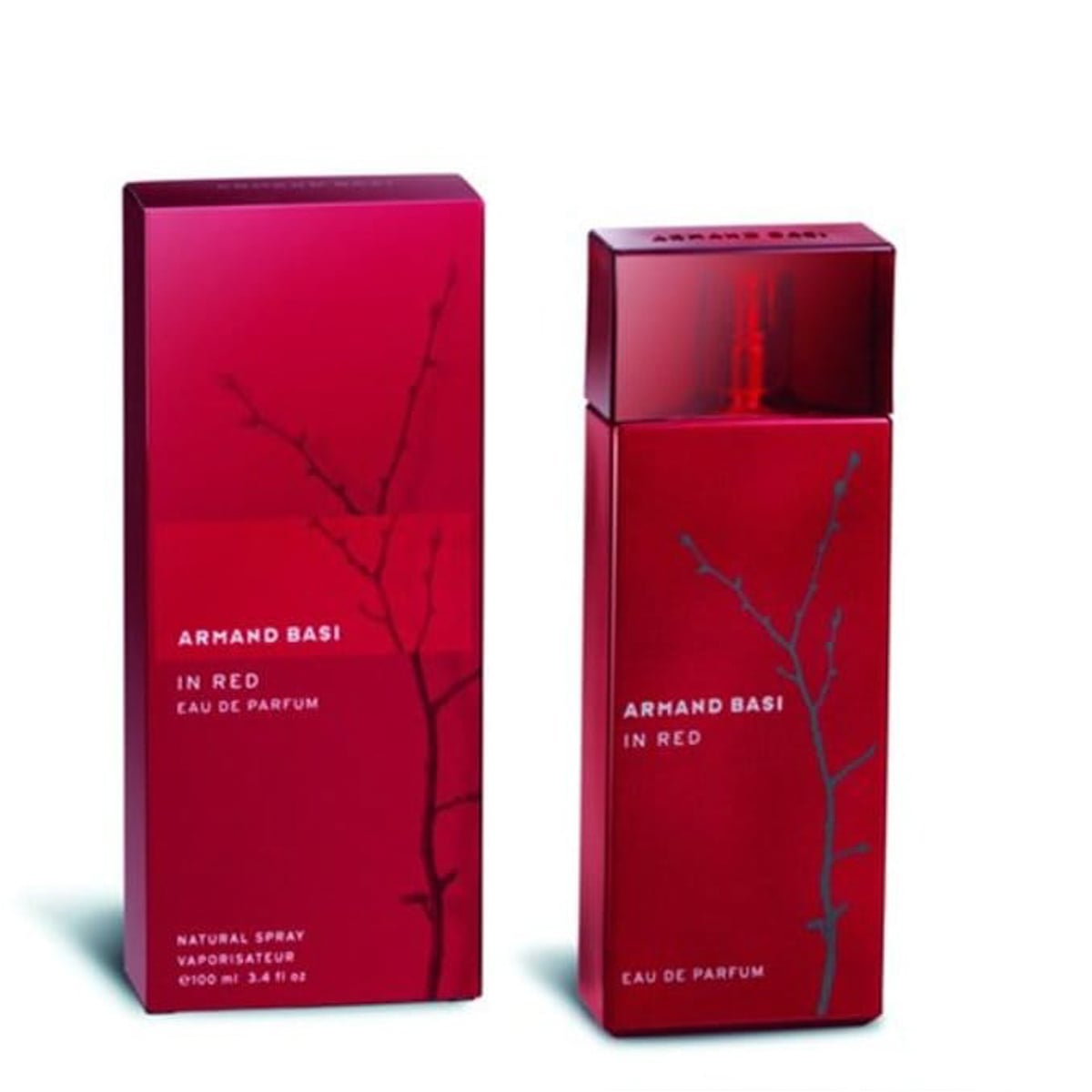 عطر أرماند باسي أو دي بارفان، 100 مل — صورة 1