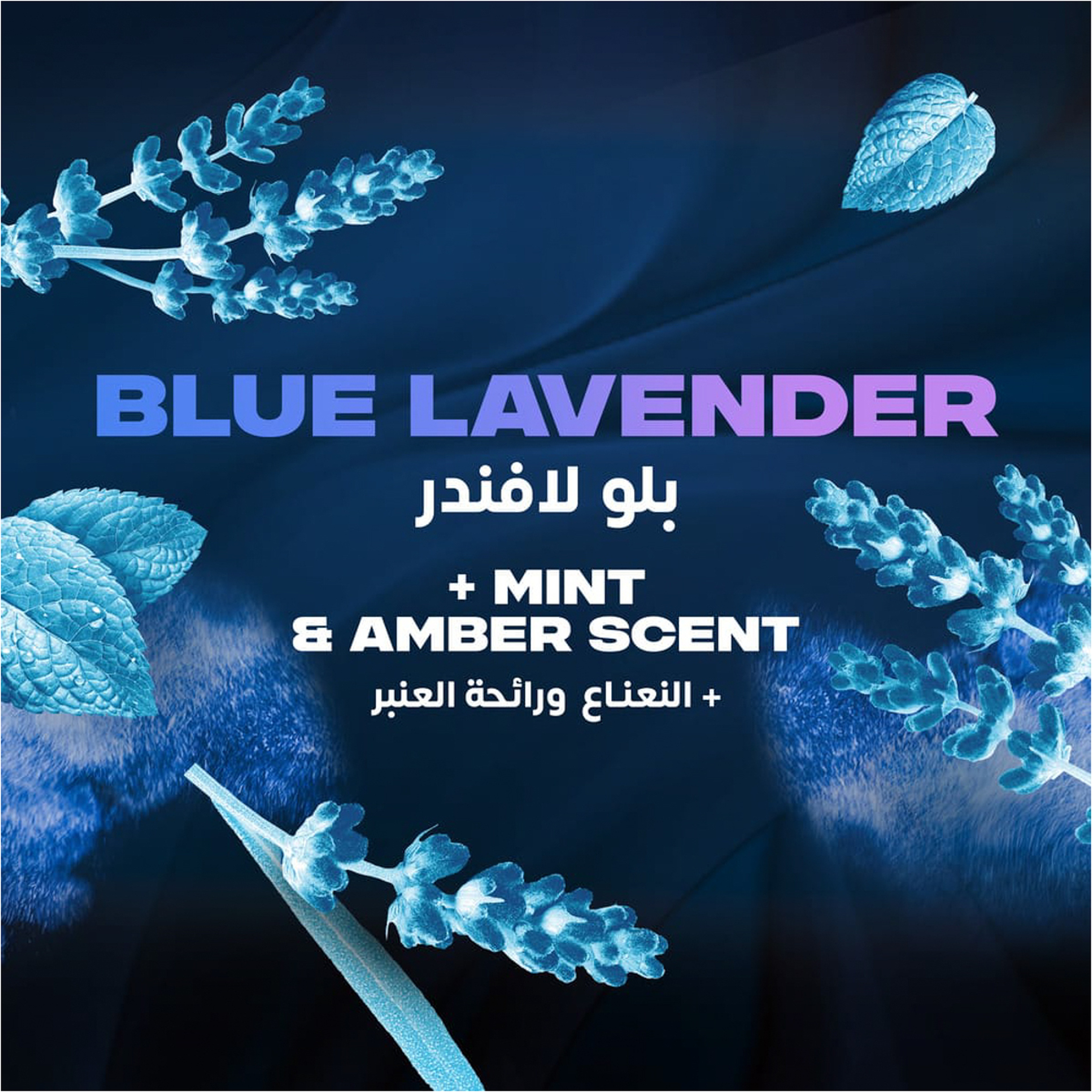 أكس م ديو أيرو لافندر أزرق 150 مل