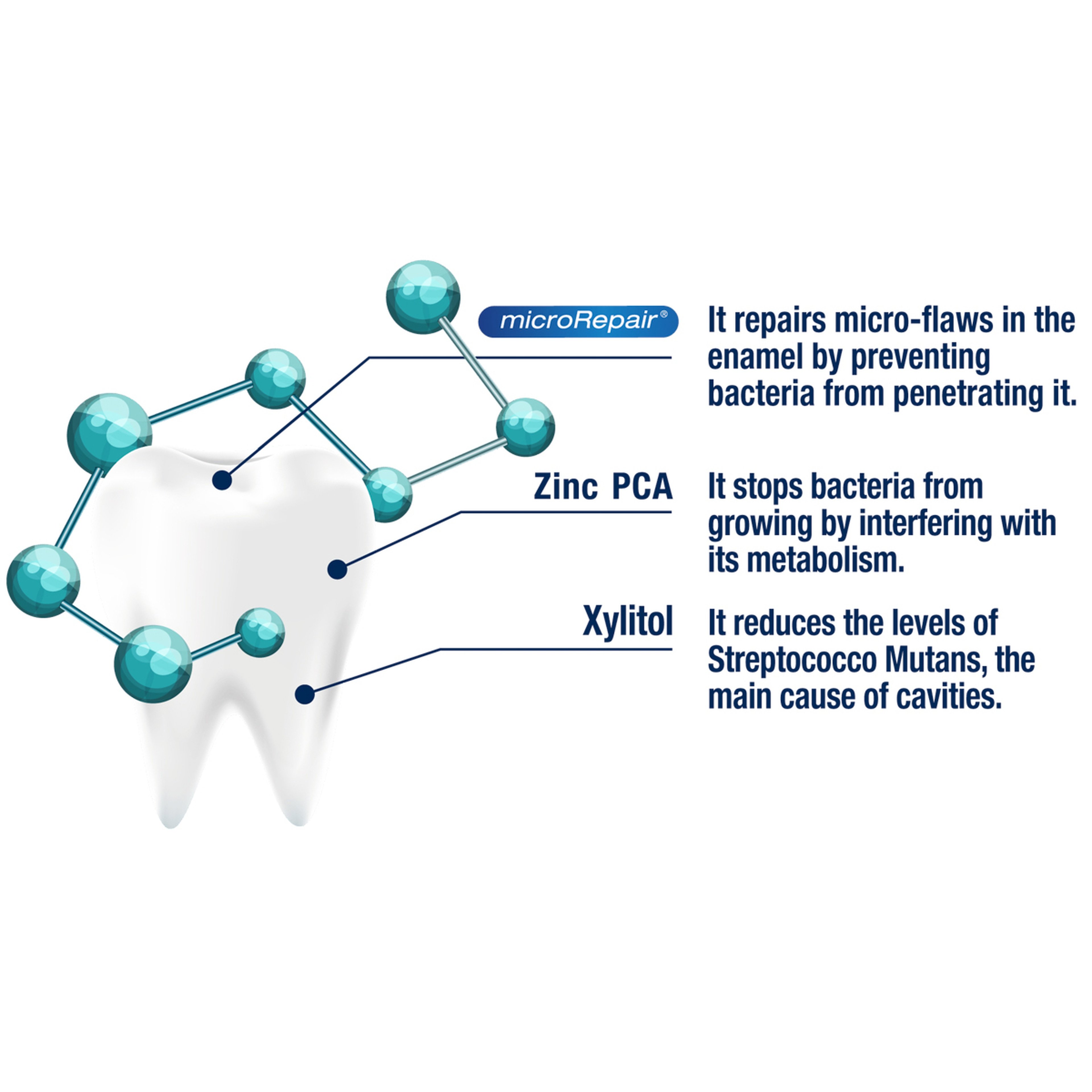 Biorepair Toothpaste Coswell Active Shield -75Ml