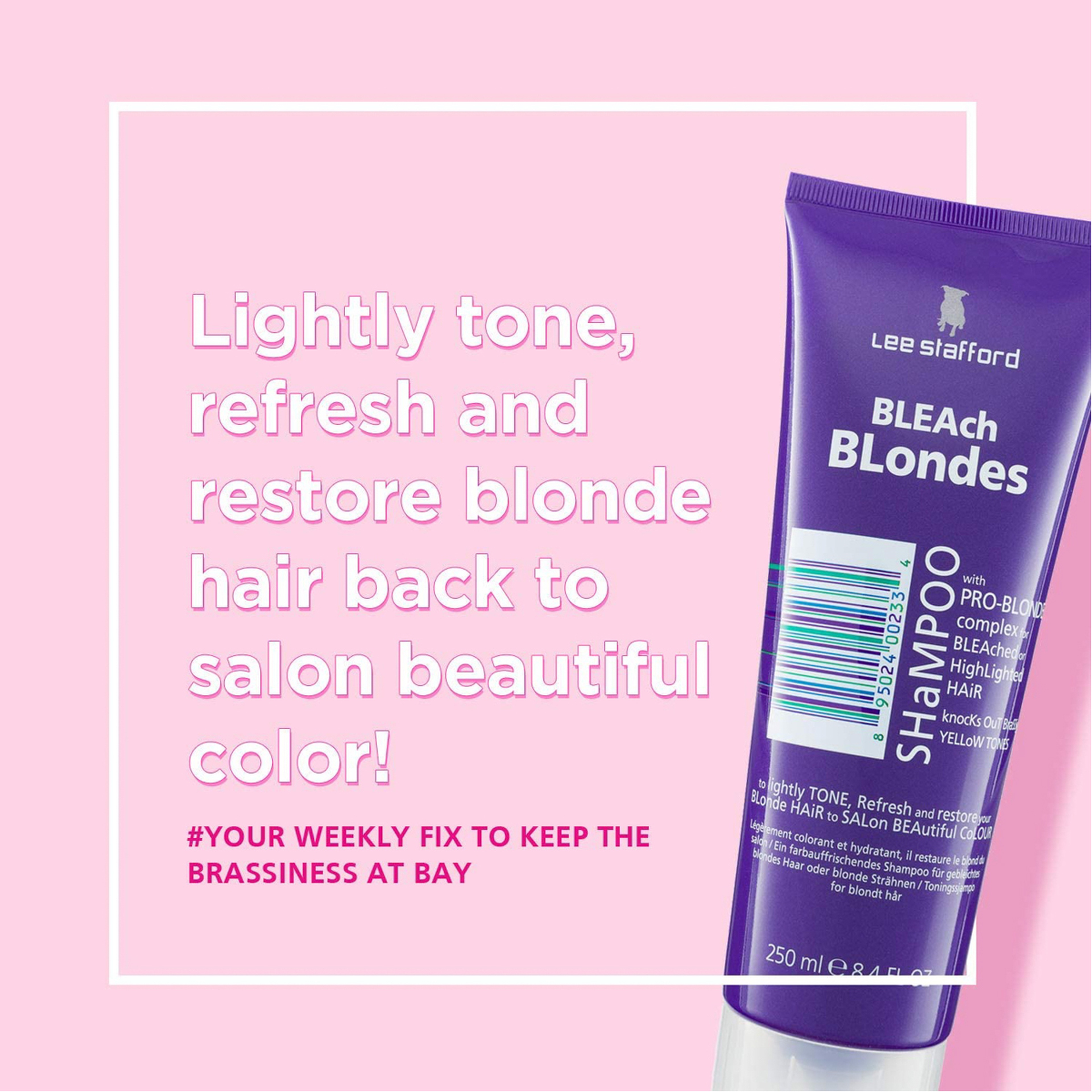 Bleach Blondes Purble Regin Toning Shampoo
