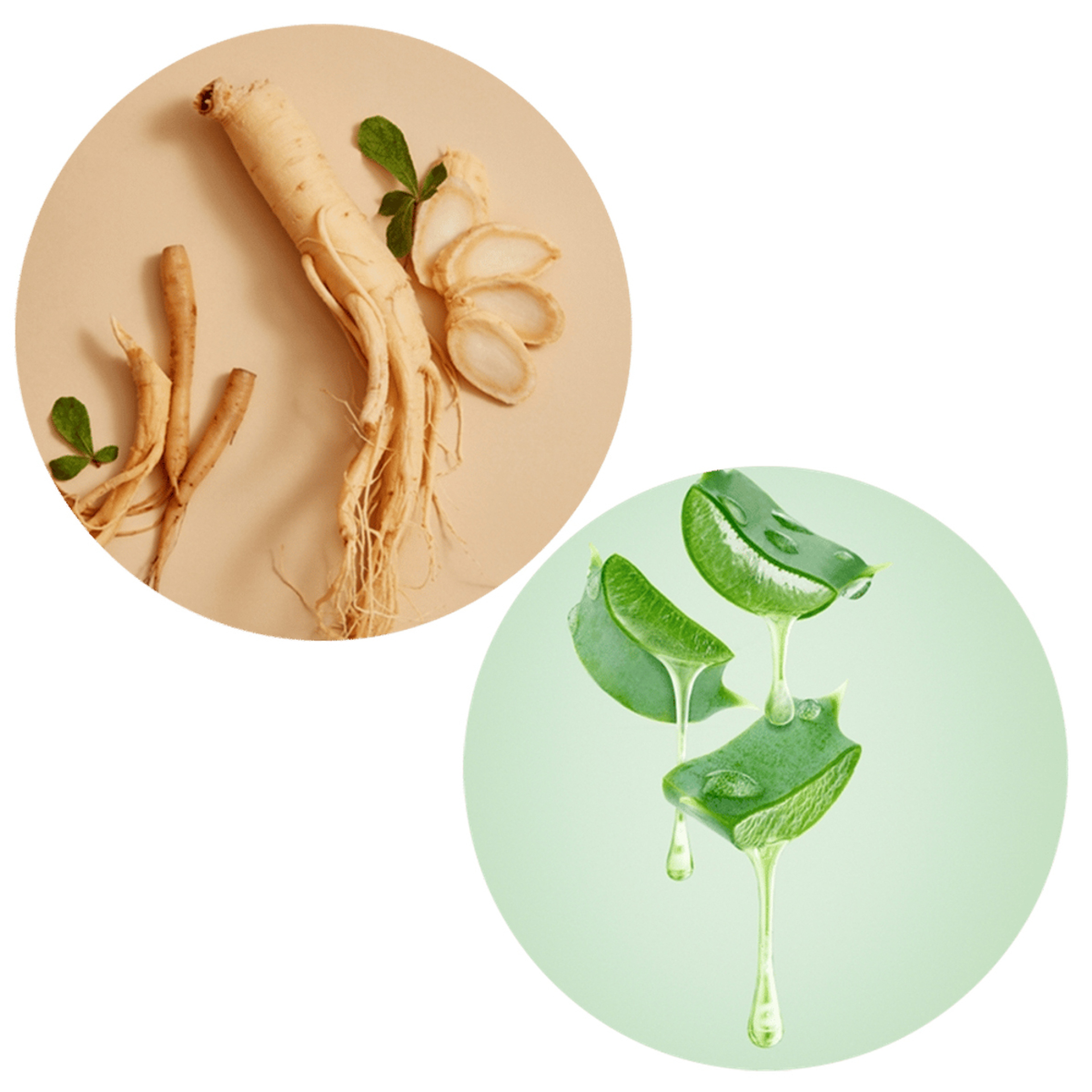 Clara Curl Booster Shampoo 300Ml