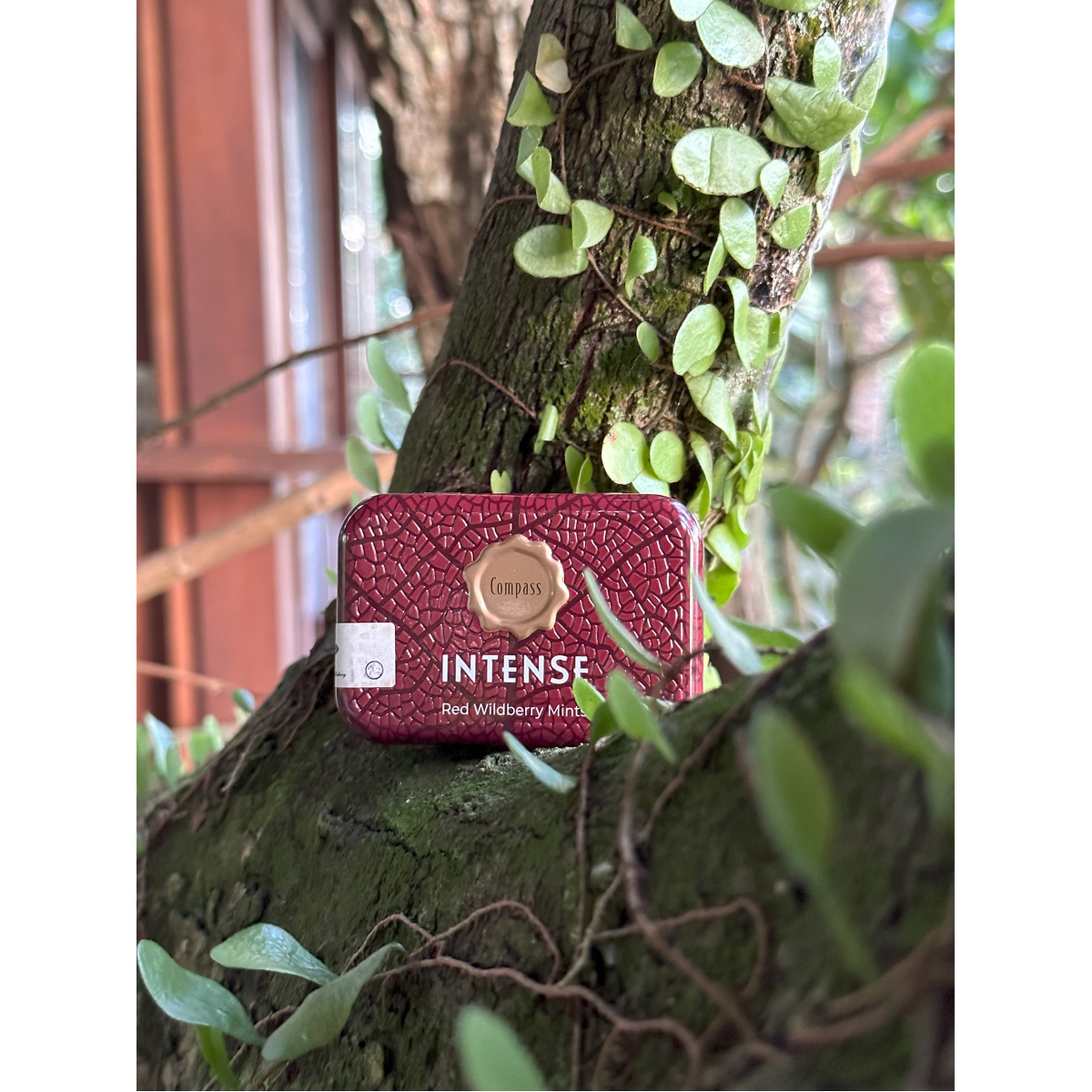 Compass Intense Mints Red Wildberry