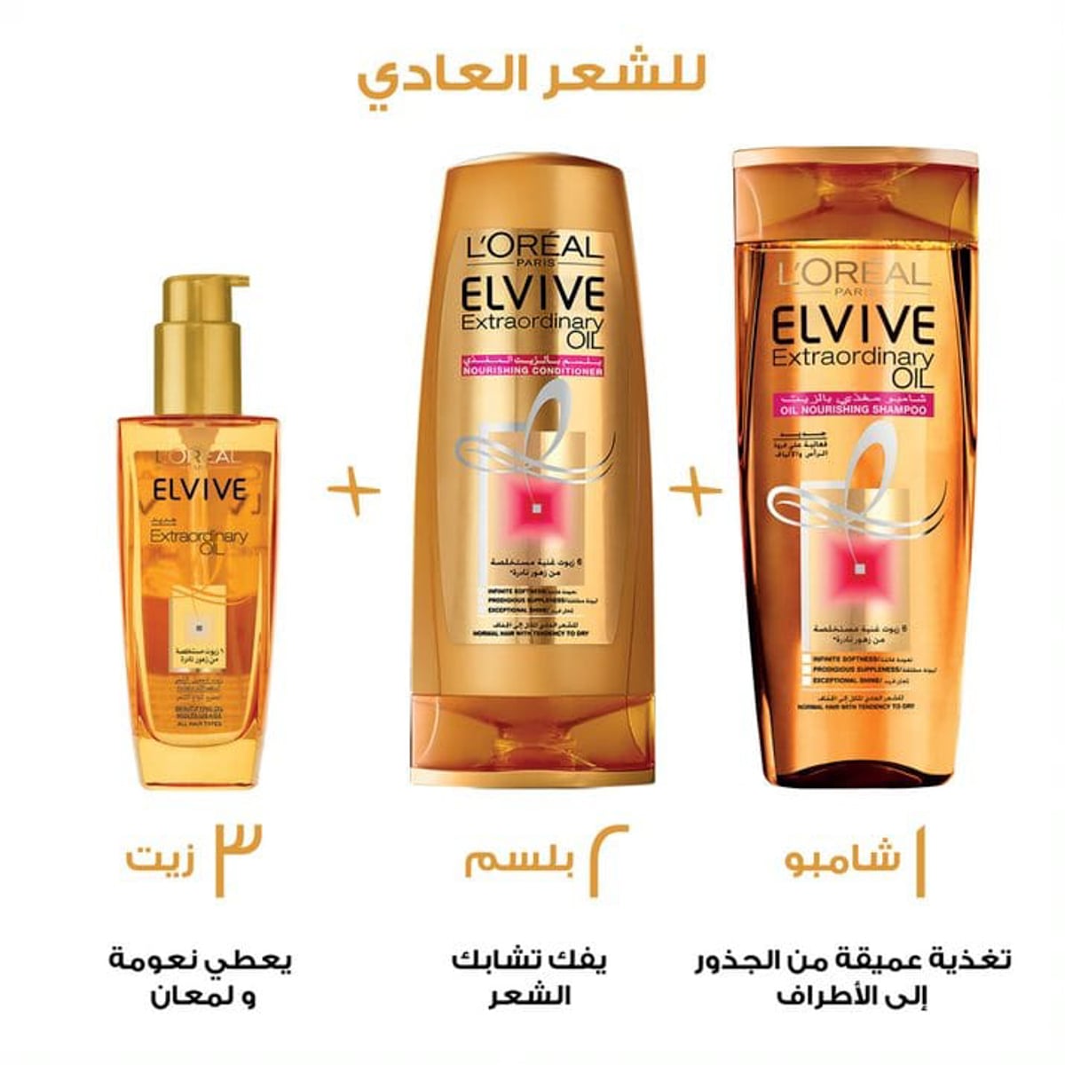 صورة 2