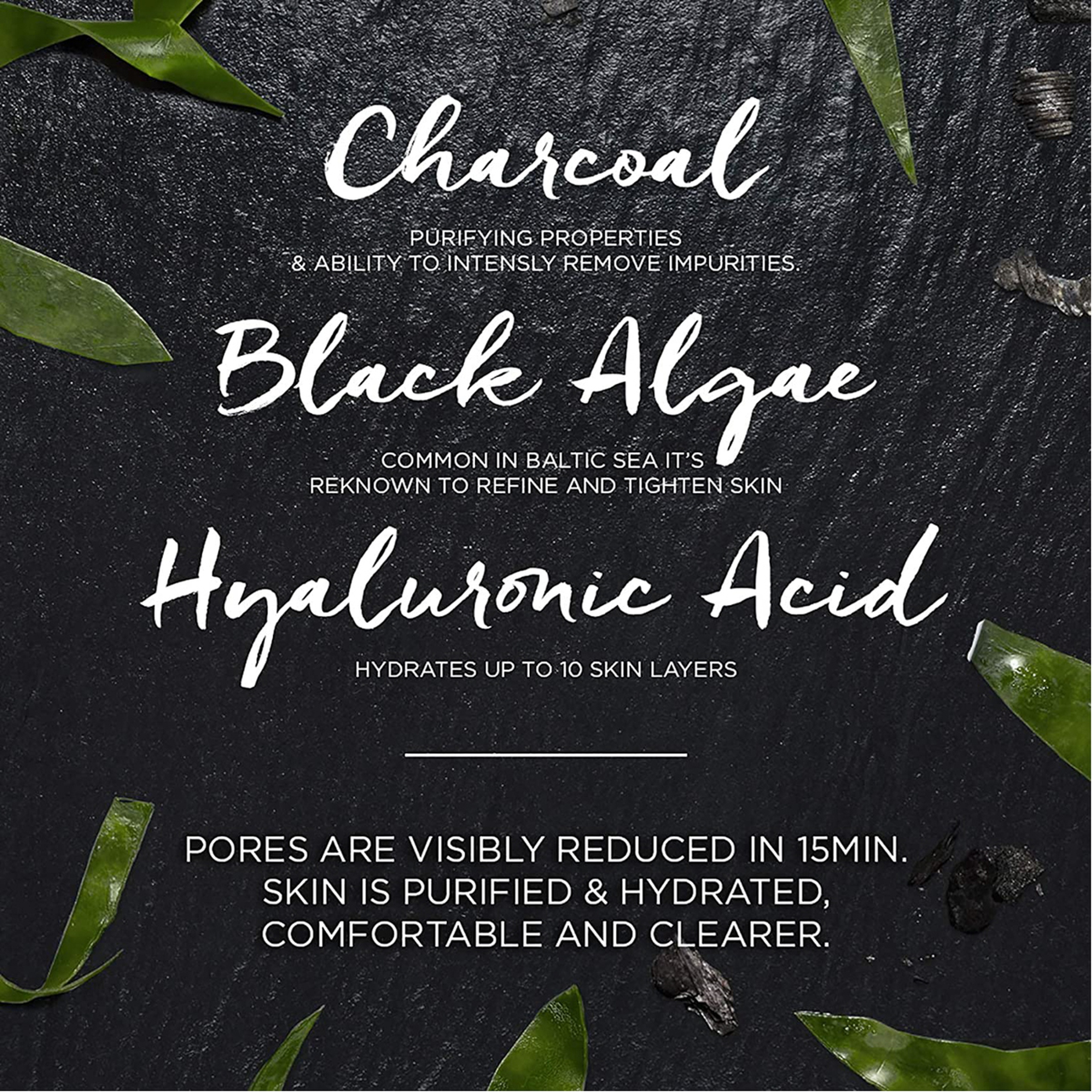 Garnier Charcoal And Algae Hydrating & Purifying Face Mask