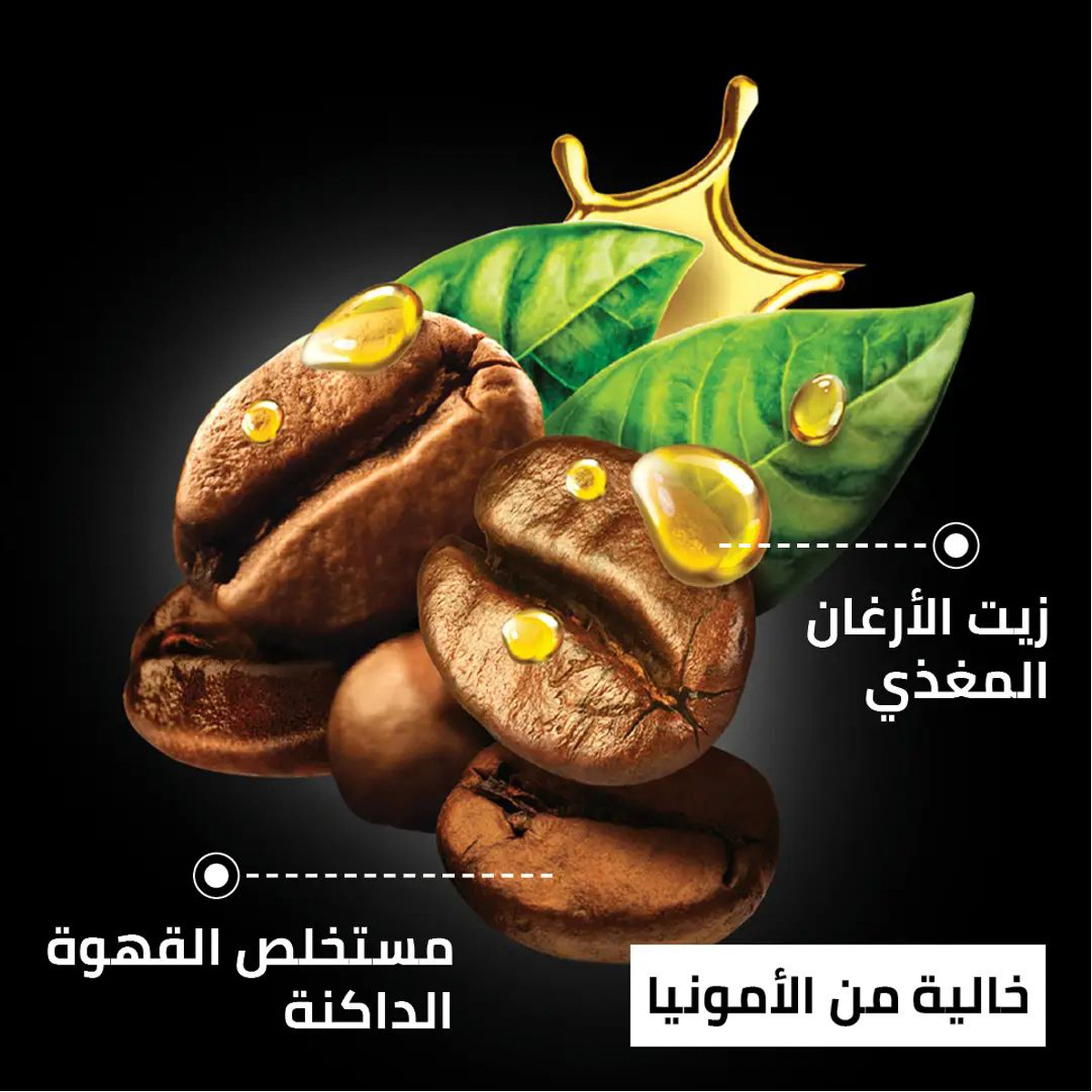 جارنييه رجال صبغة شعر شامبو 3.0 أسود بني