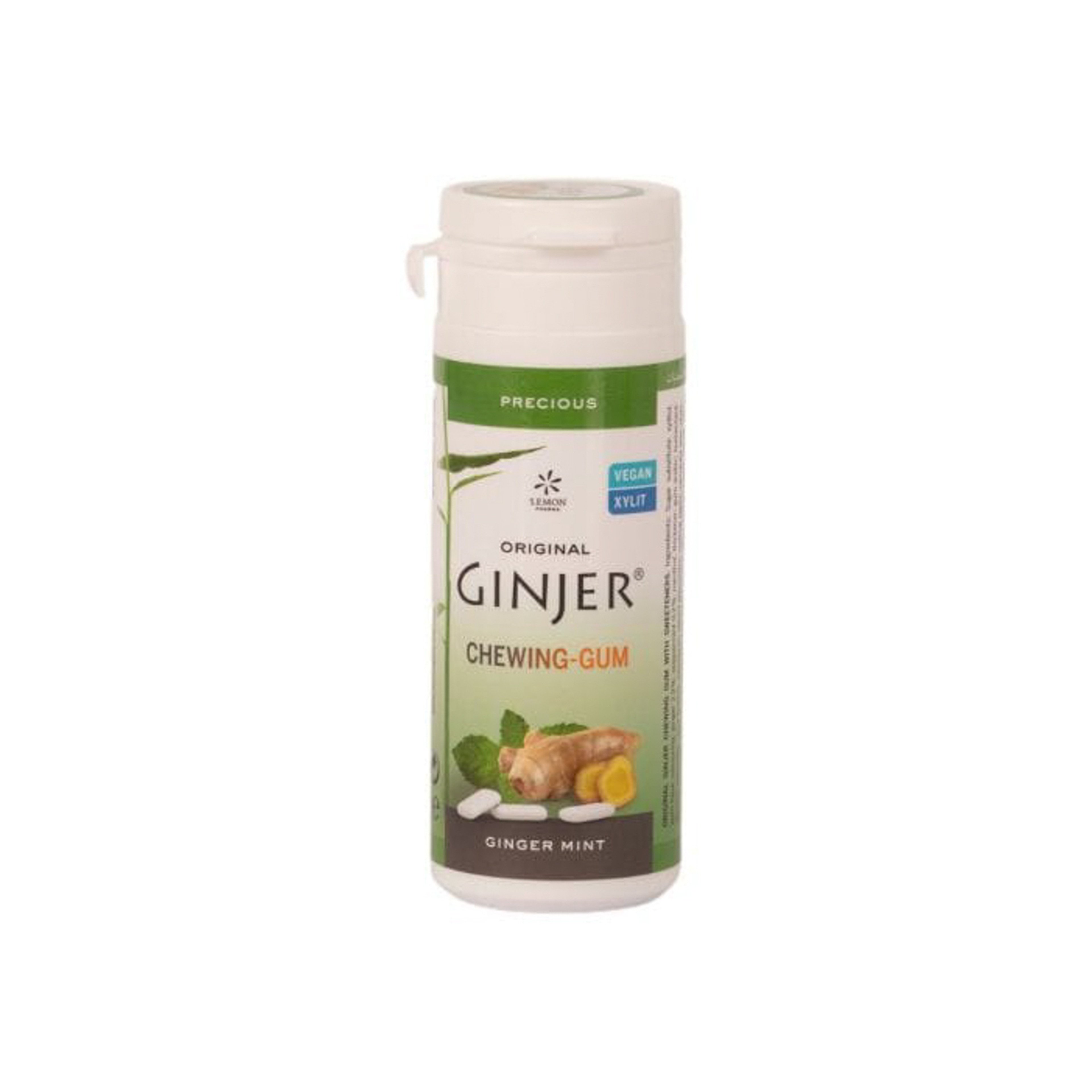 Ginjer Ginger Chewing Gum – Mint 30Gm