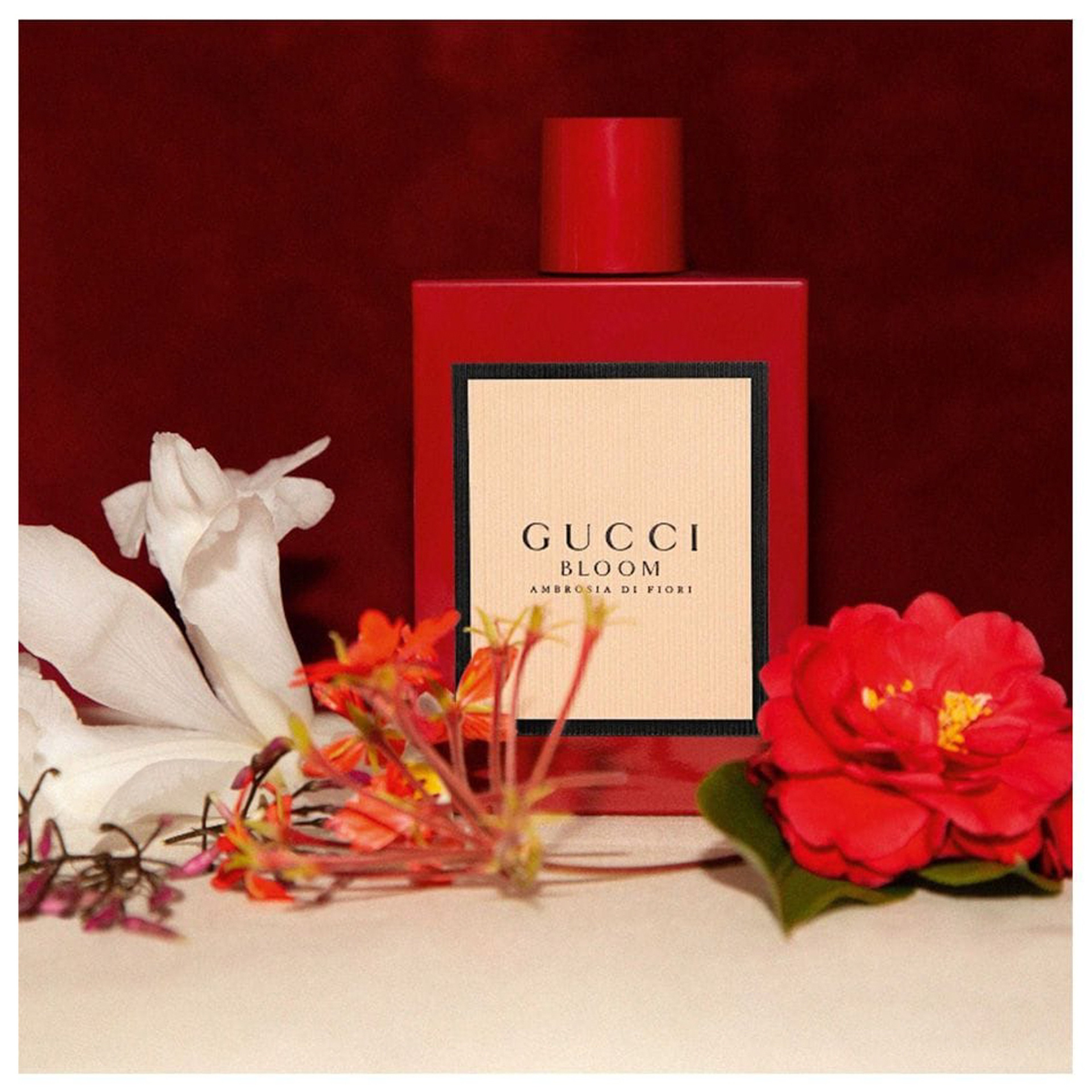 Gucci Bloom Ambrosia Di Fiori Women'S Eau De Parfum Intense - 100Ml