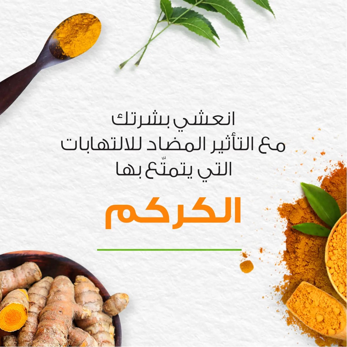 صورة 3