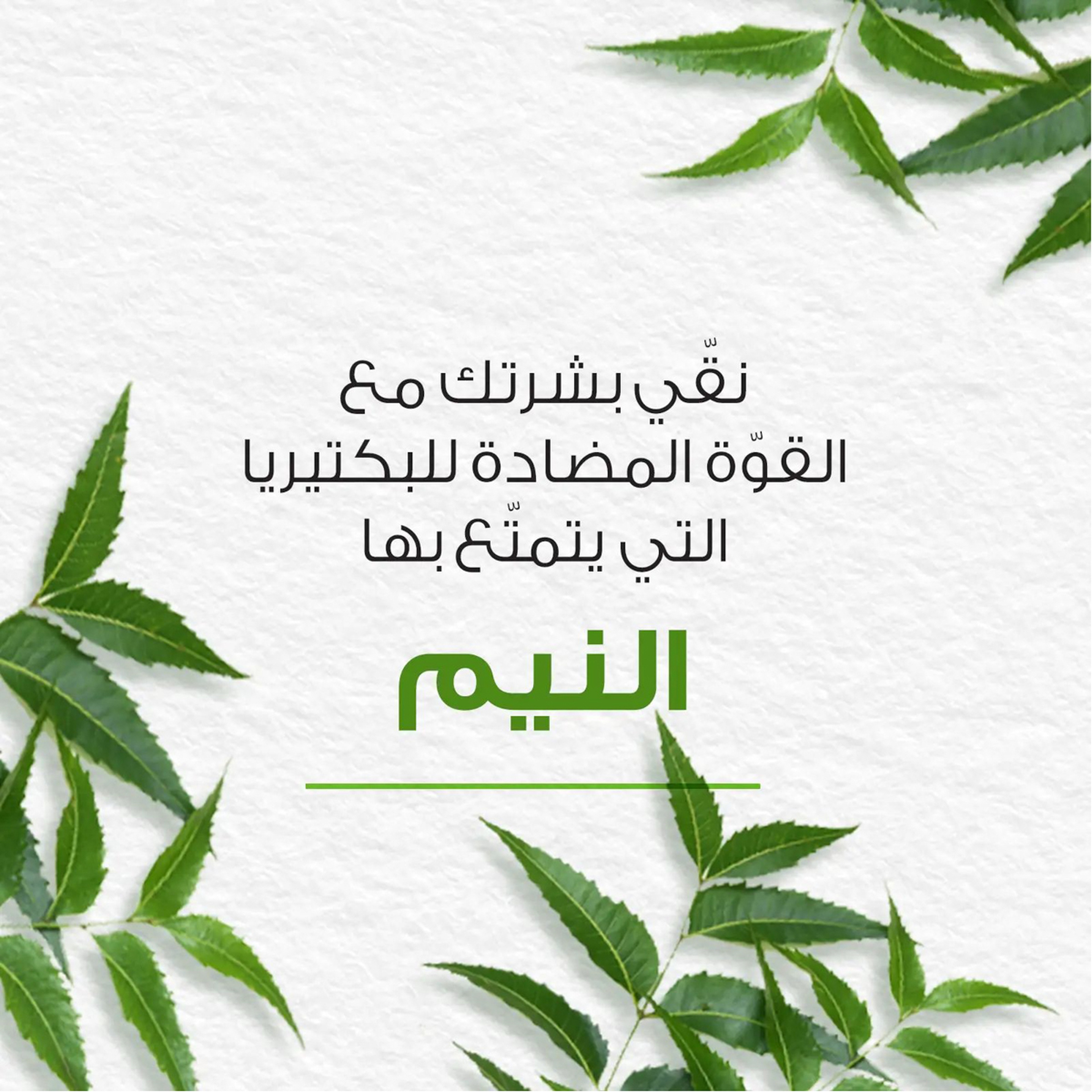 Himalaya Purifying Neem Foaming Face Wash 150 Ml