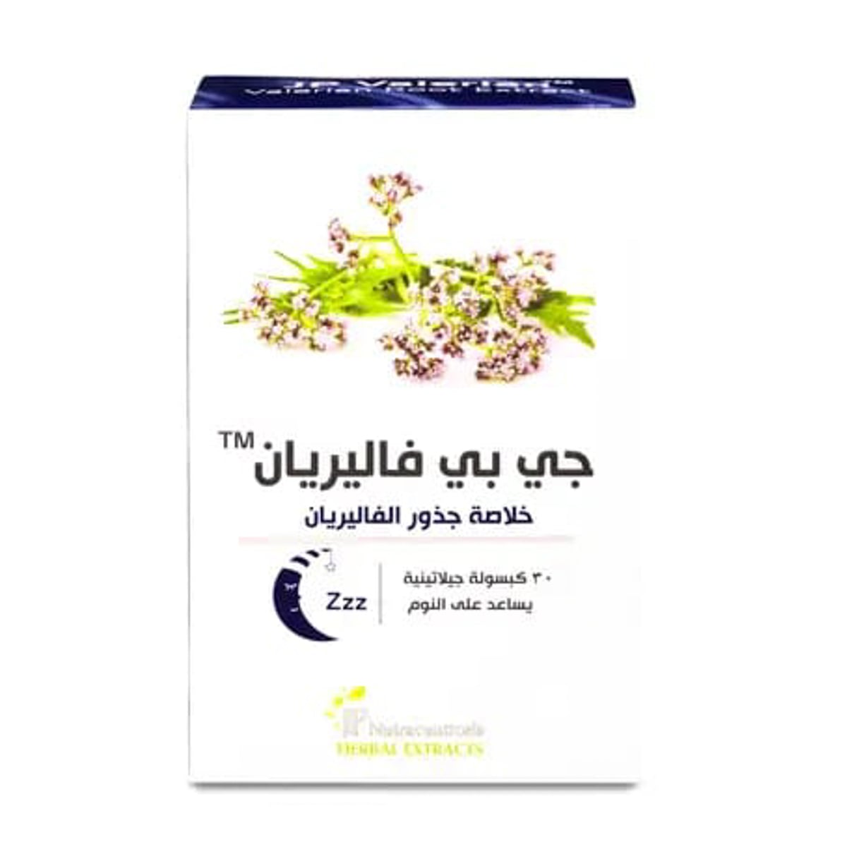 صورة 2