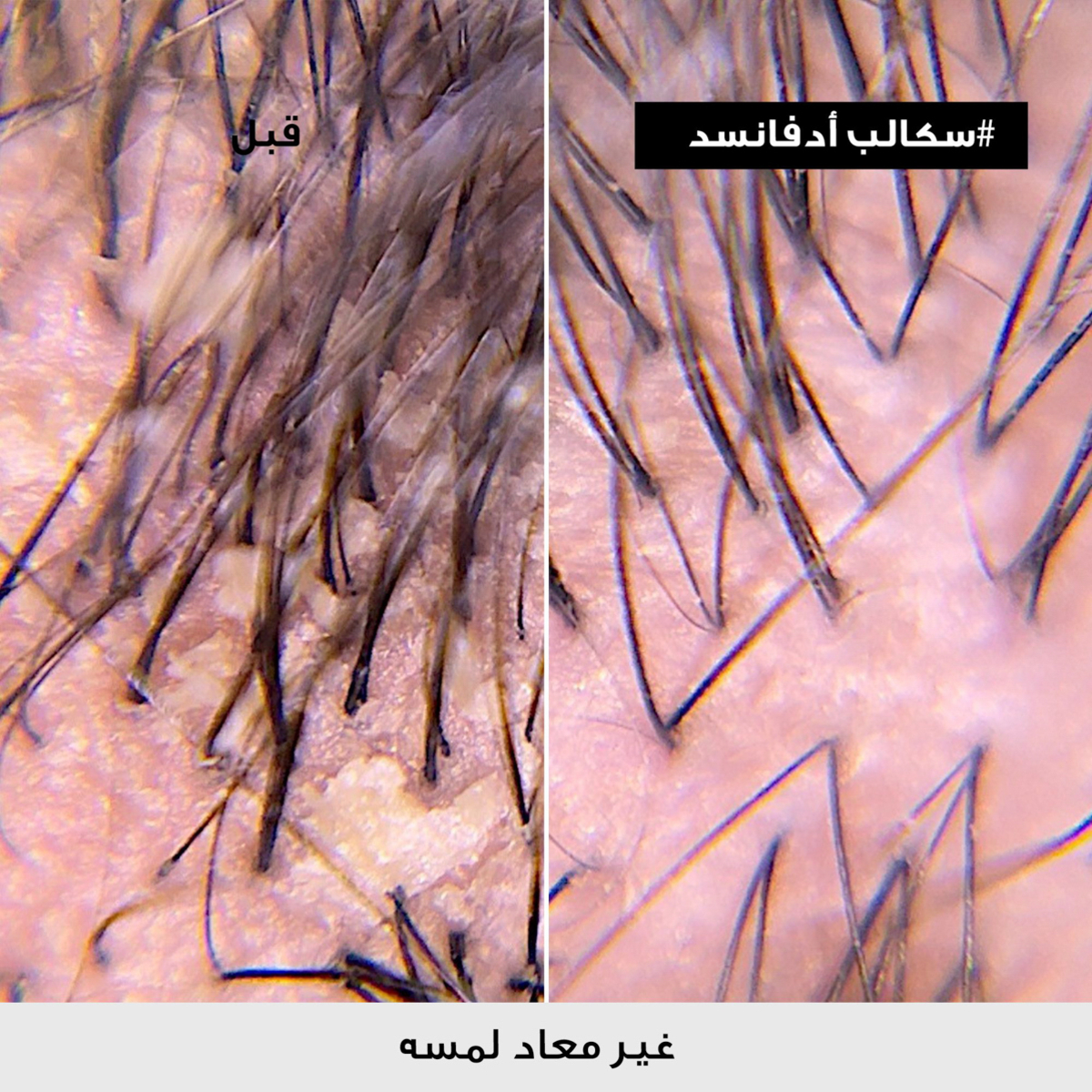 صورة 4