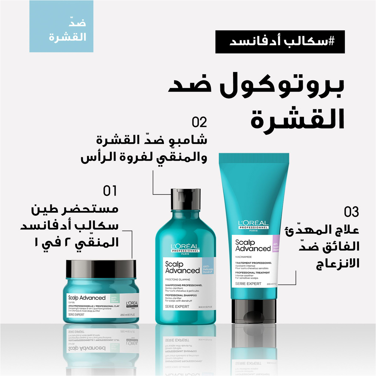 صورة 6