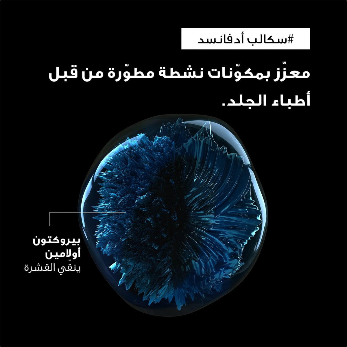صورة 5