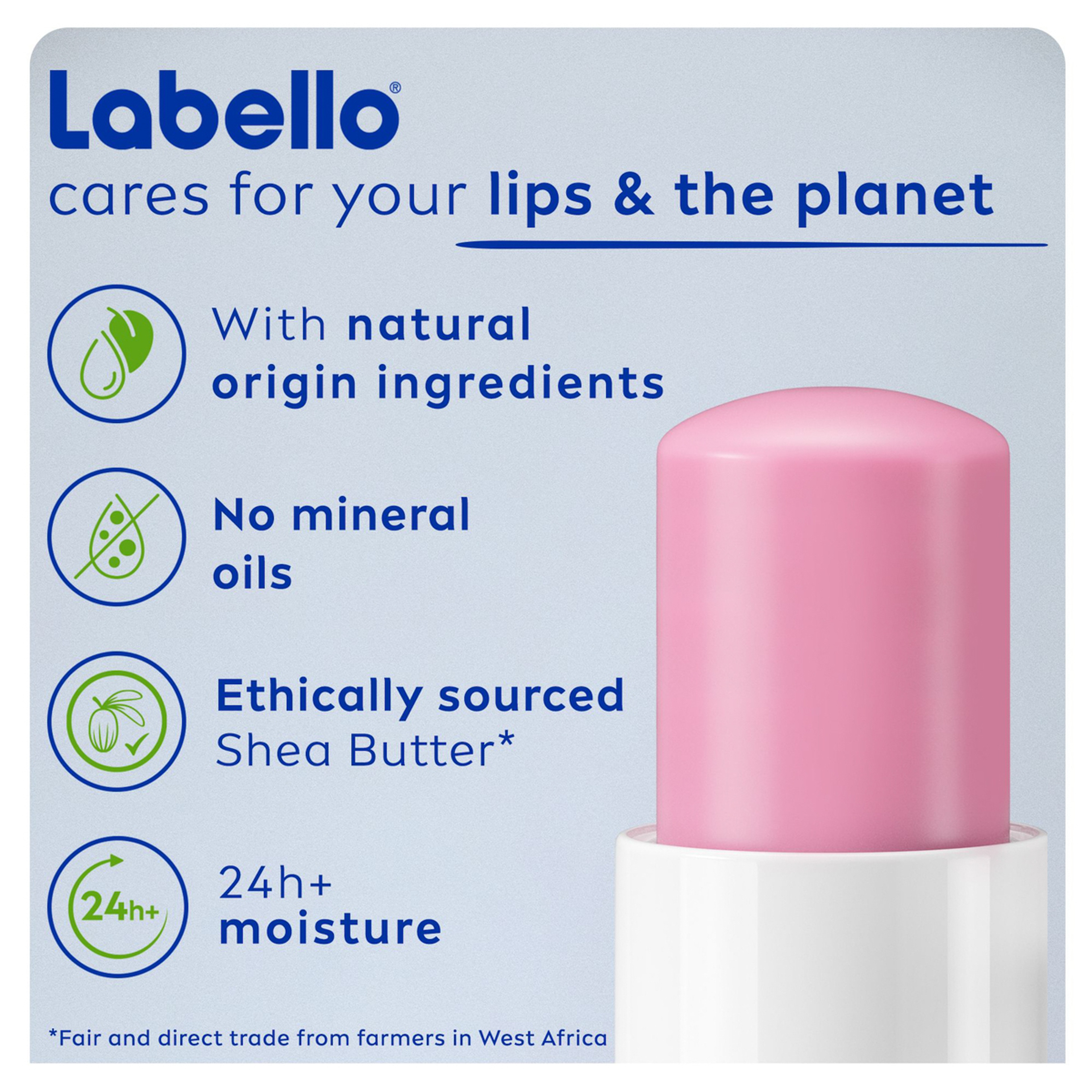 Labello Velvet Rose Lip Balm (4.8G)