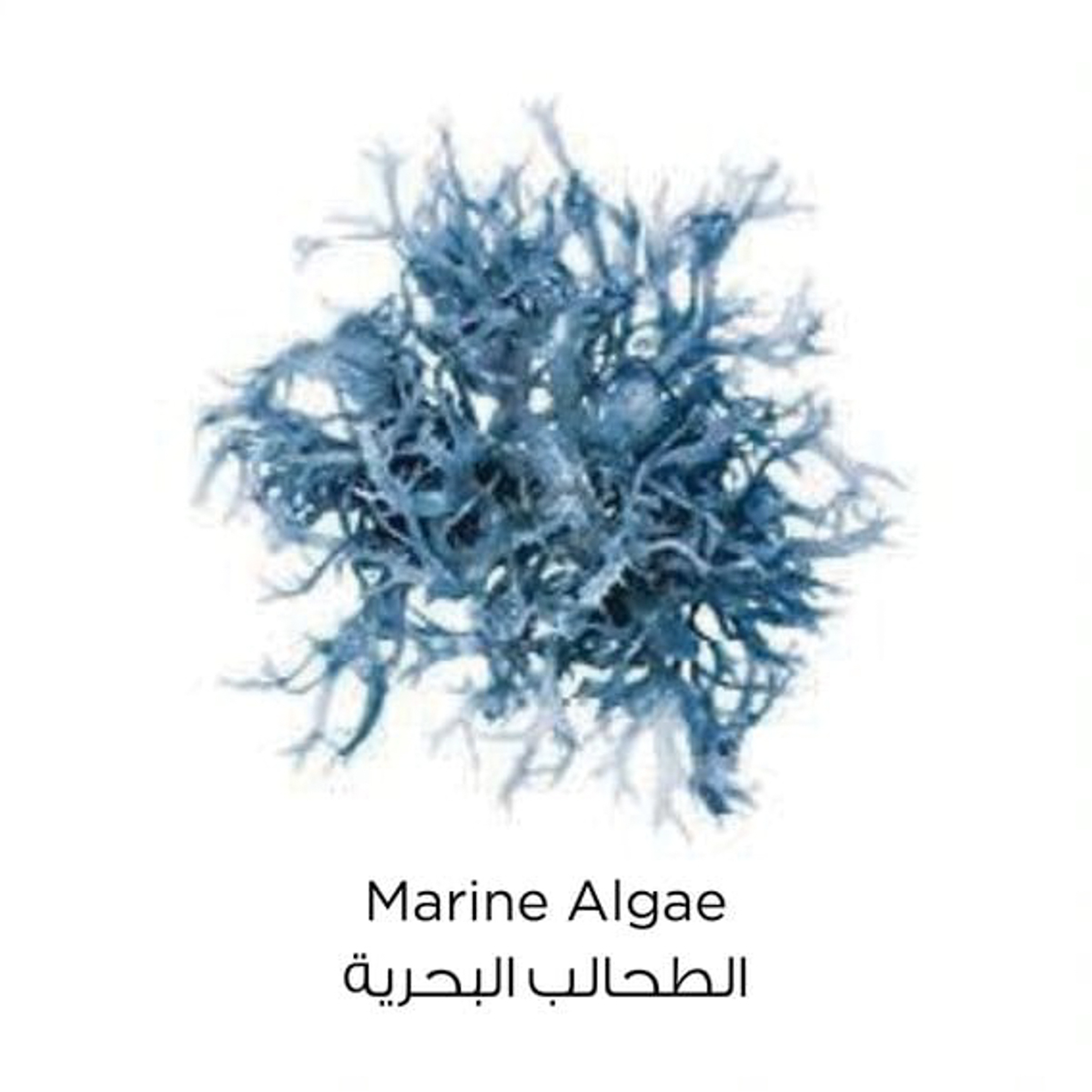 Loreal Paris Pure Clay Blue Face Mask With Marine Algae - 50 Ml