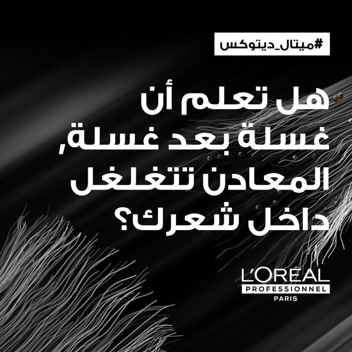 صورة 3