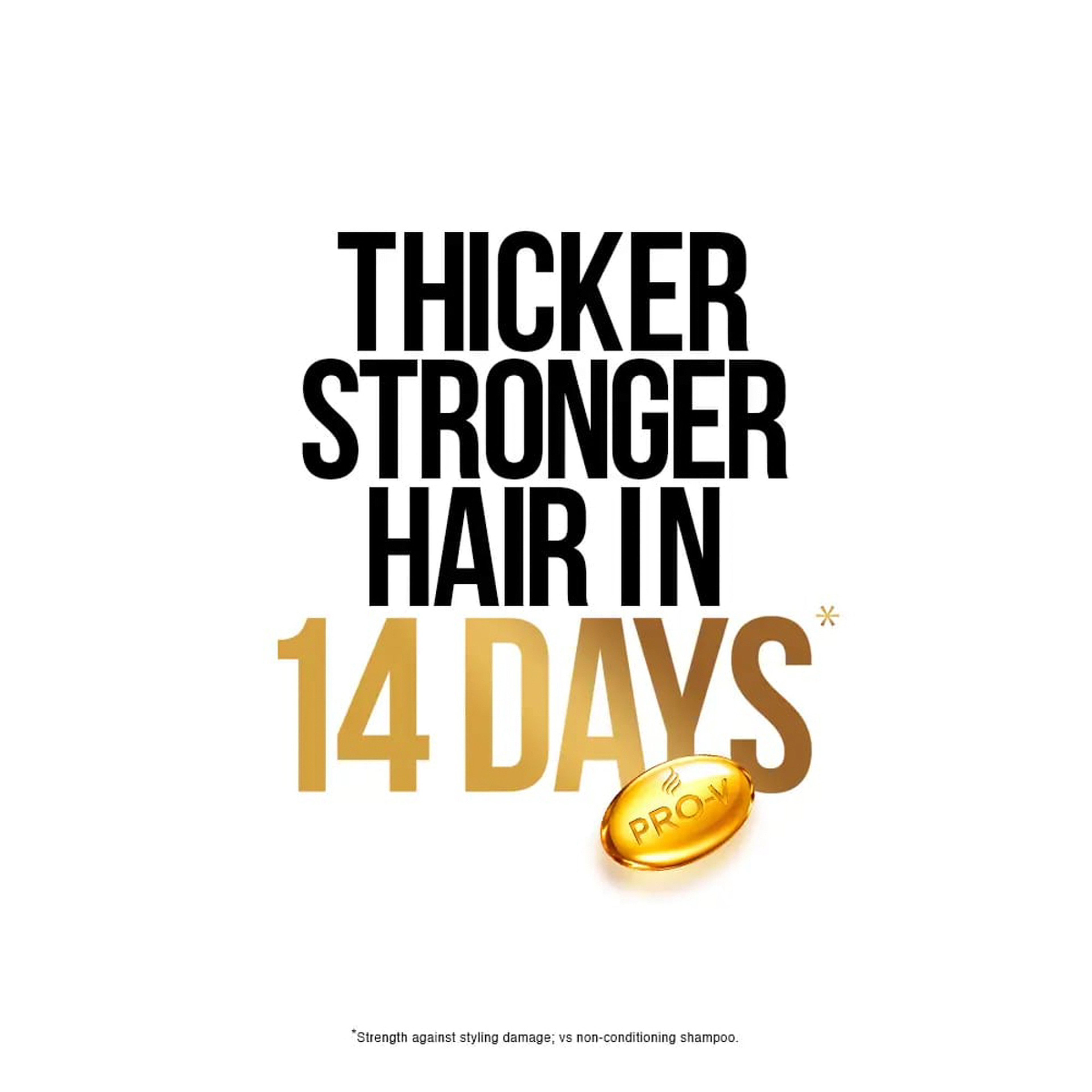 Pantene Shampoo Classic Care (2 In 1) 400 Ml