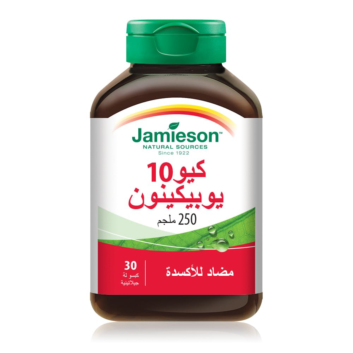 صورة 2