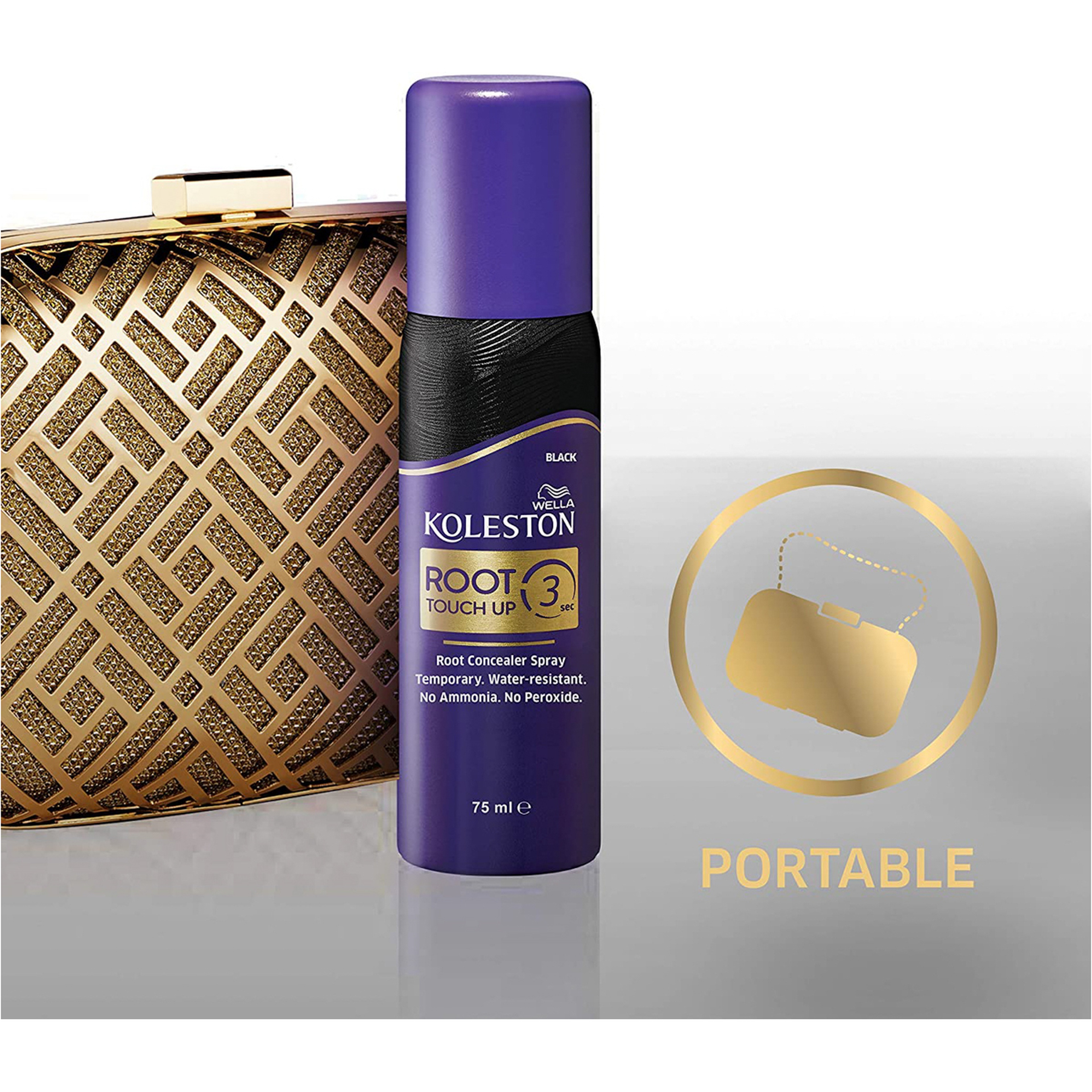 Root Touch Up Spray Black 75Ml