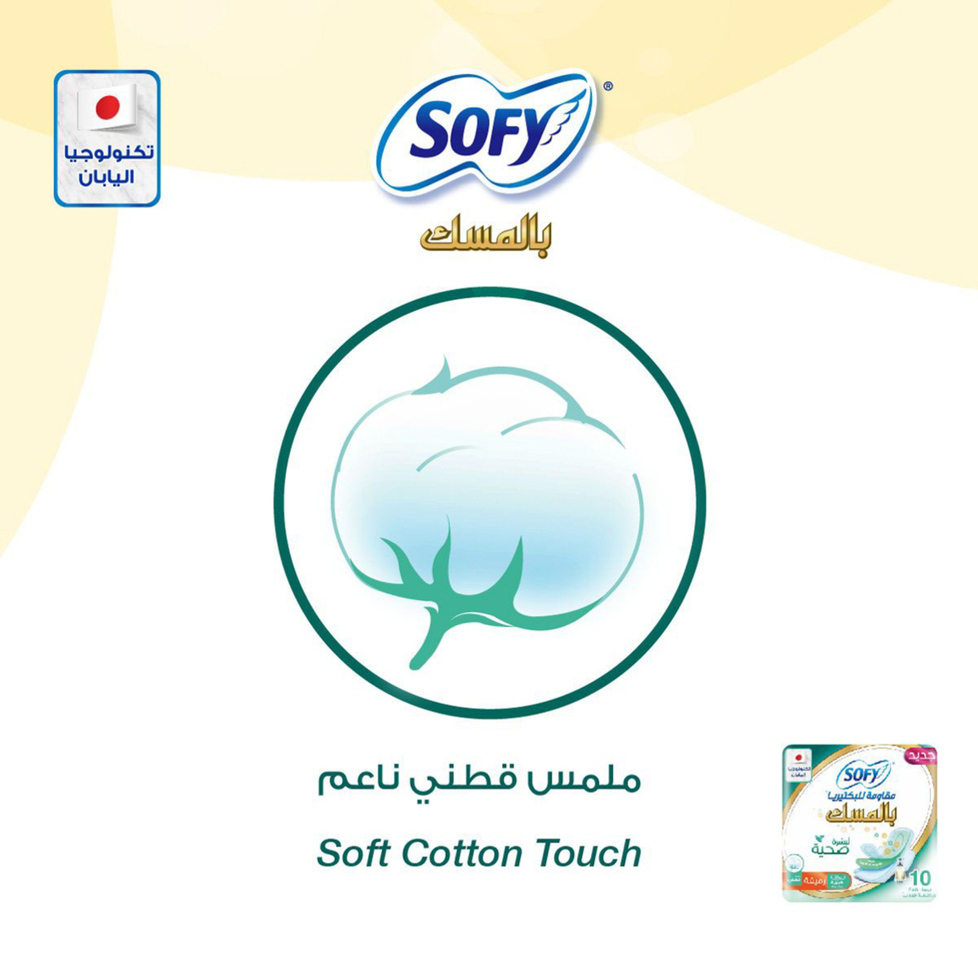 Sofy Anti-Bacterial Musk 10 Large Pads 29 Cm