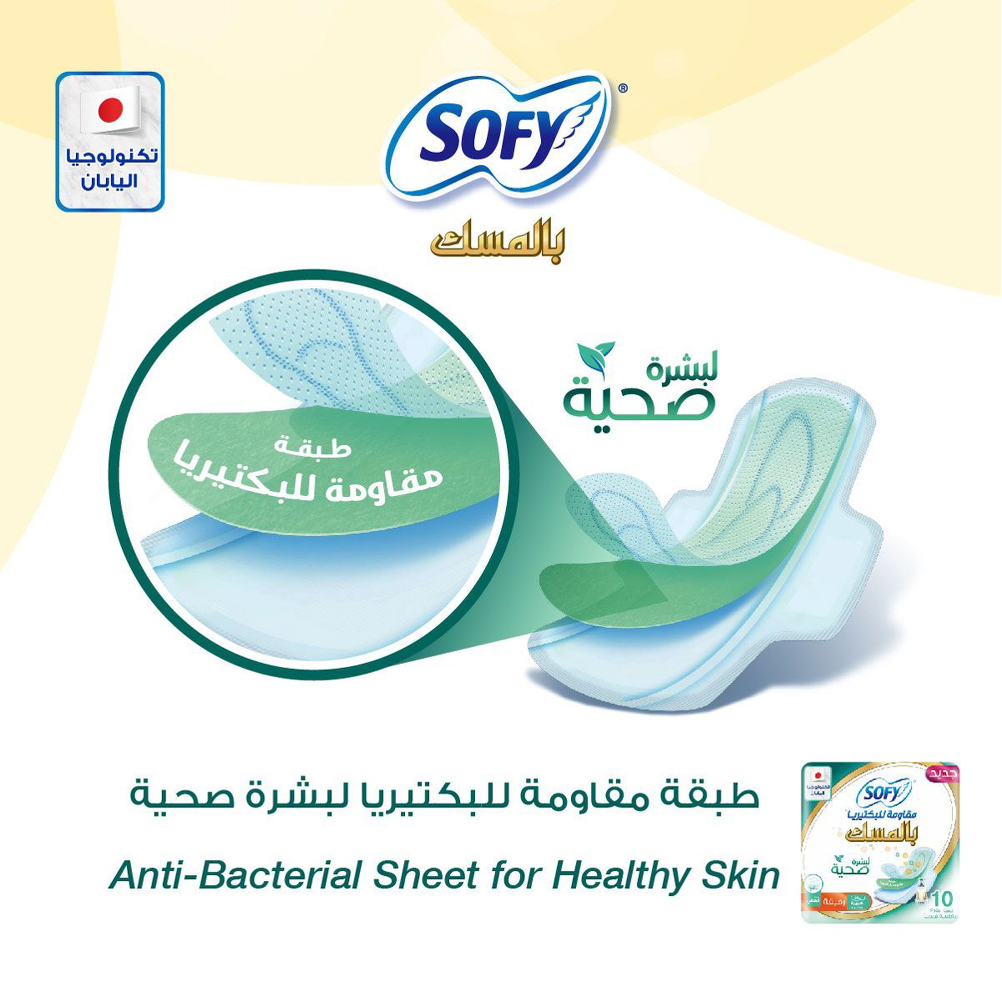 Sofy Anti-Bacterial Musk 10 Large Pads 29 Cm