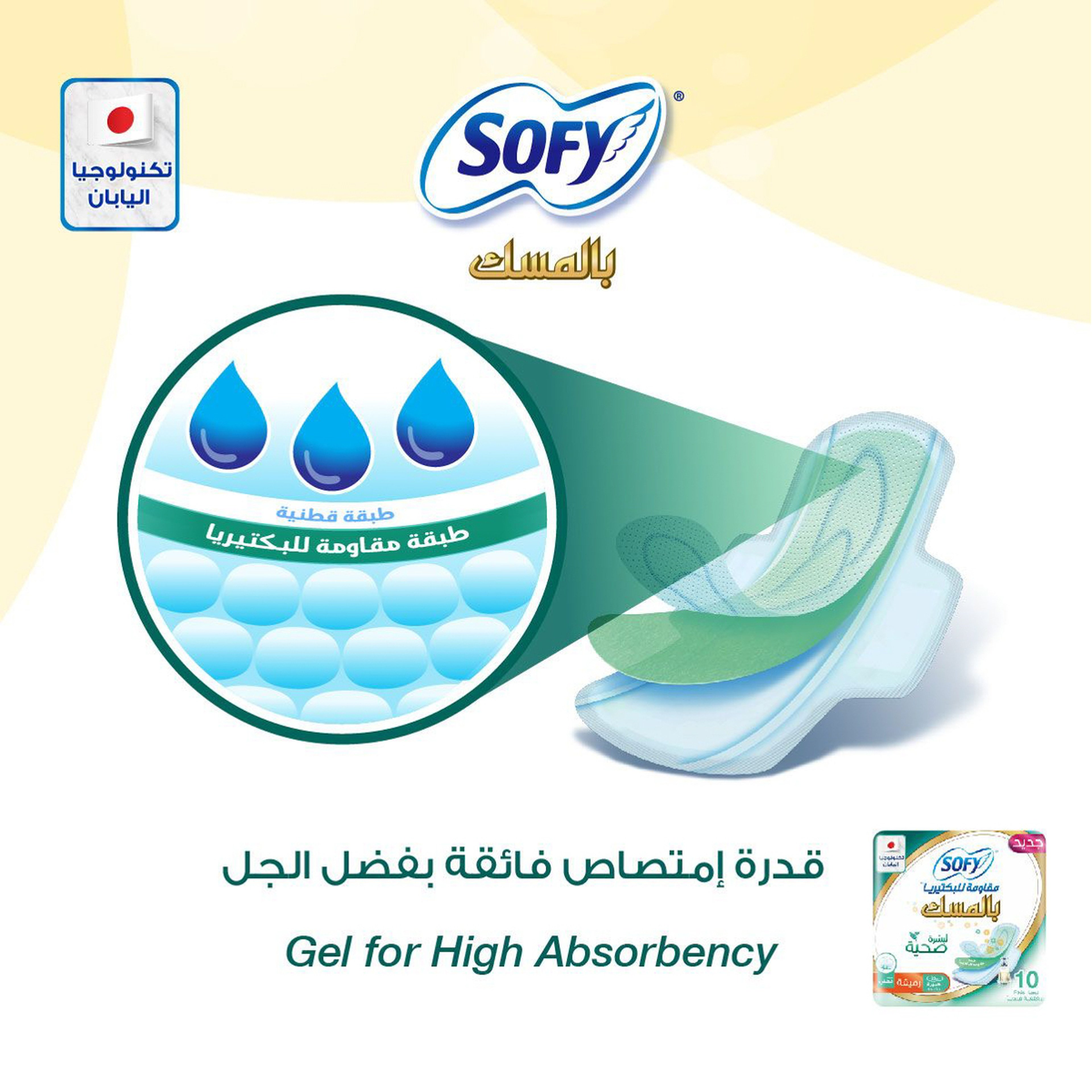 Sofy Anti-Bacterial Musk 10 Large Pads 29 Cm