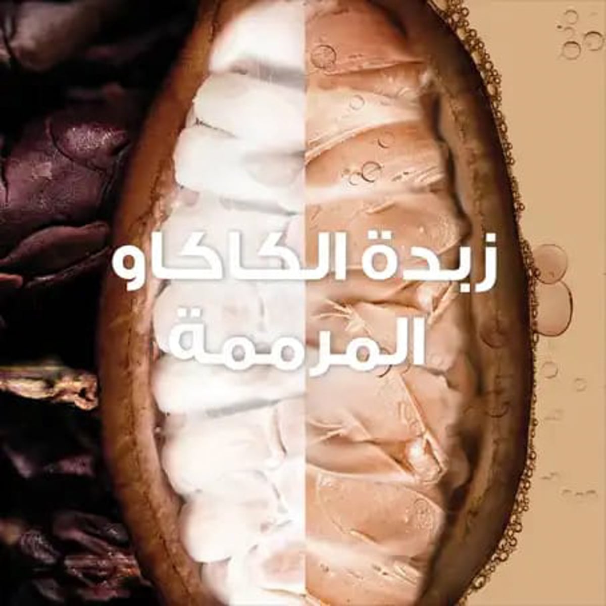 صورة 4