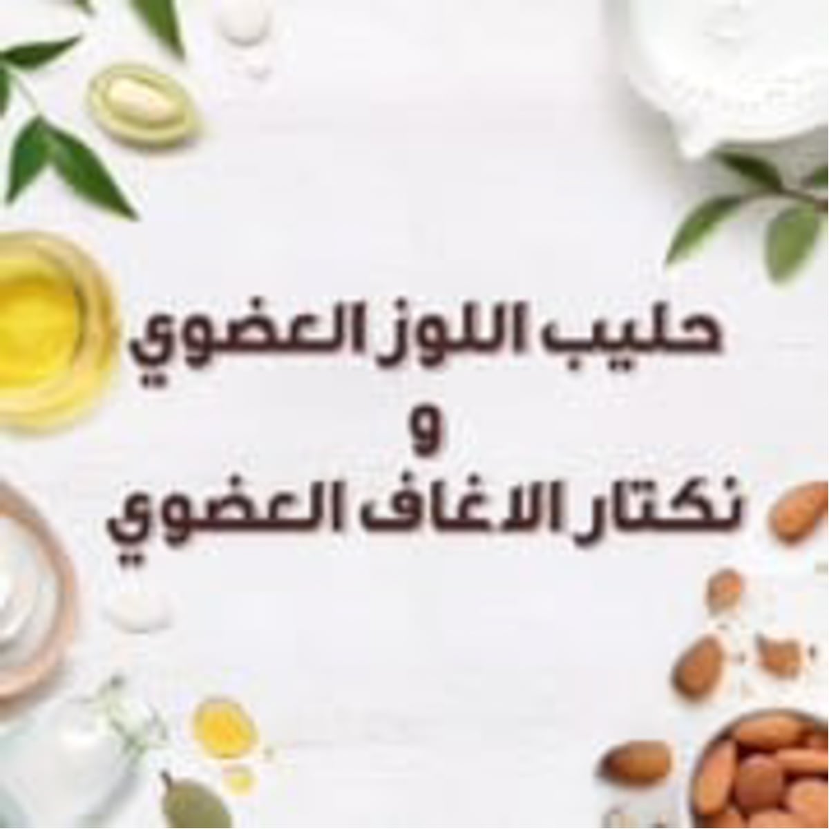 صورة 2
