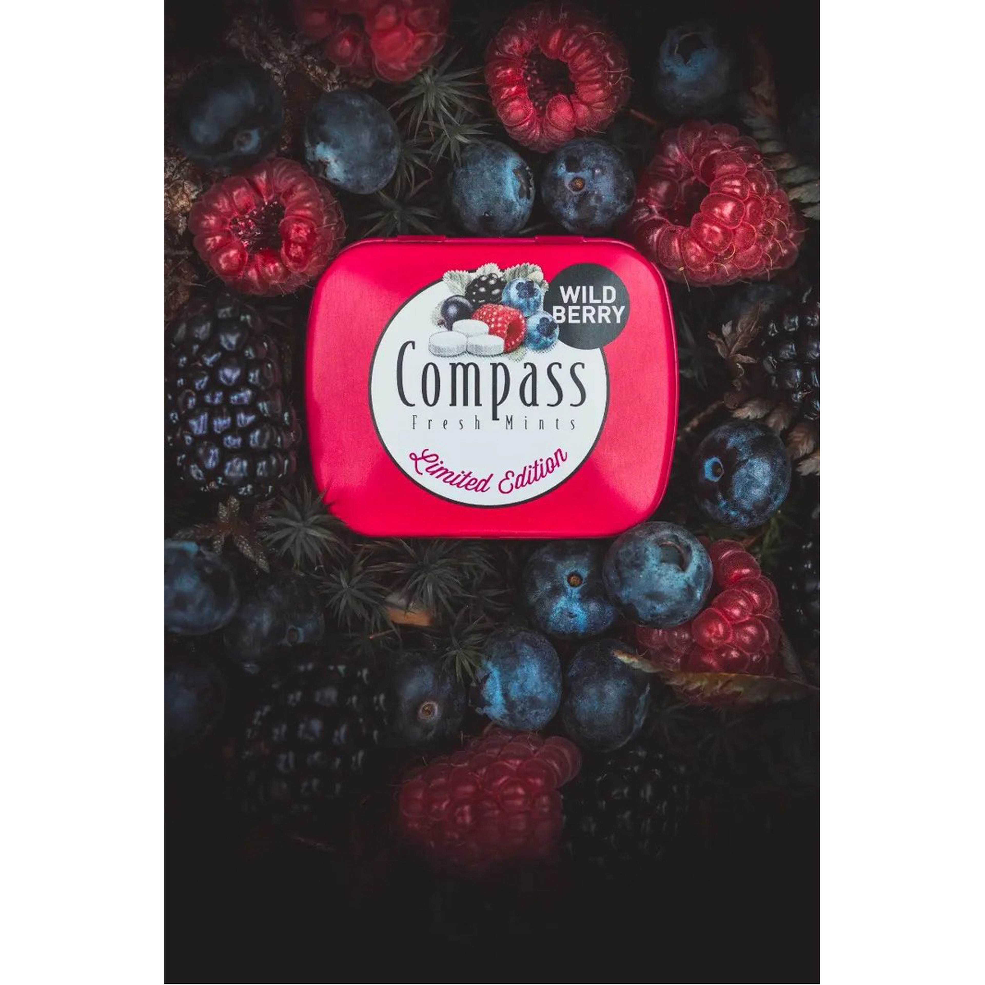 Wild Berry Suger Free 50 Pcs 14G