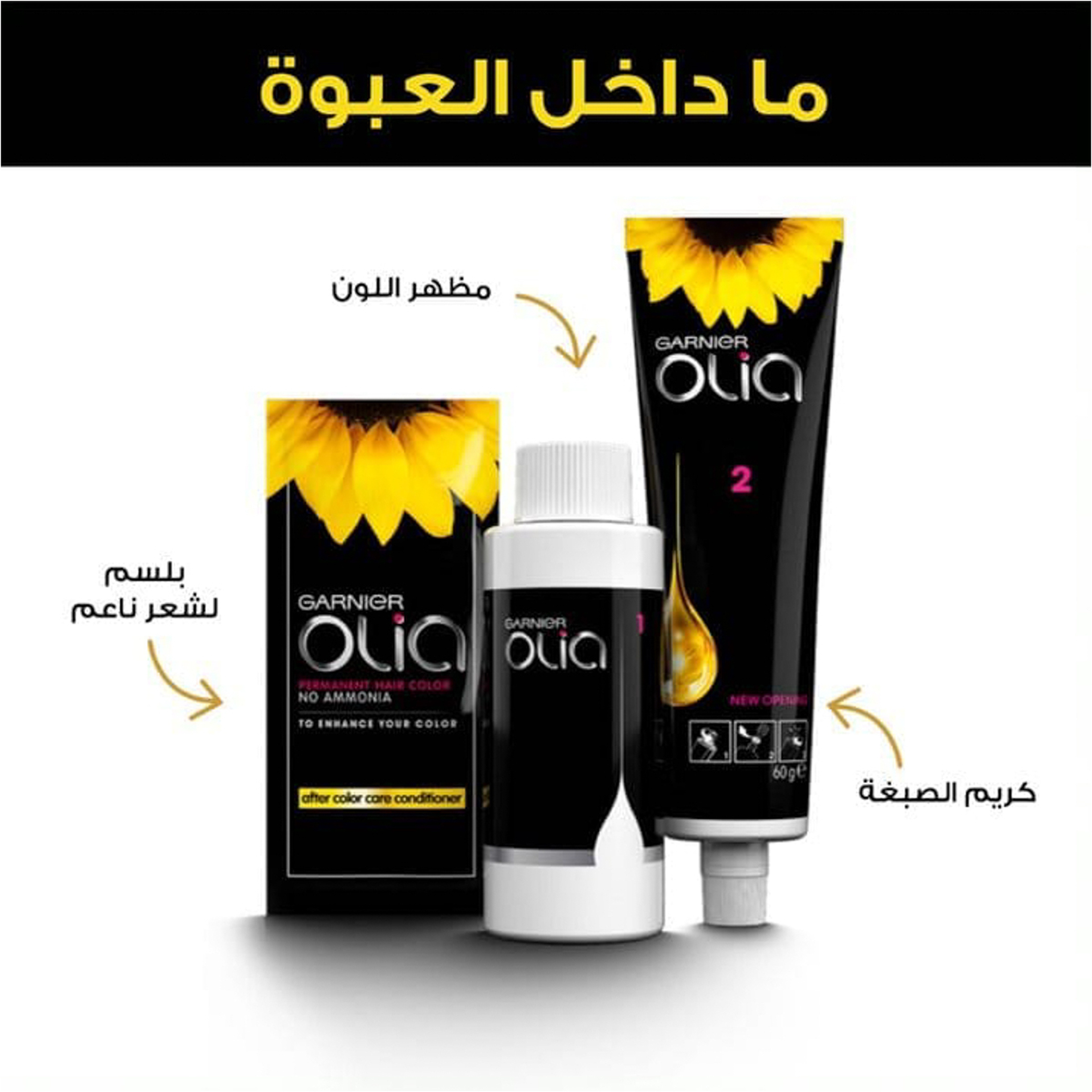 Garnier Olia No Ammonia Permanent Haircolor, With 60% Oils