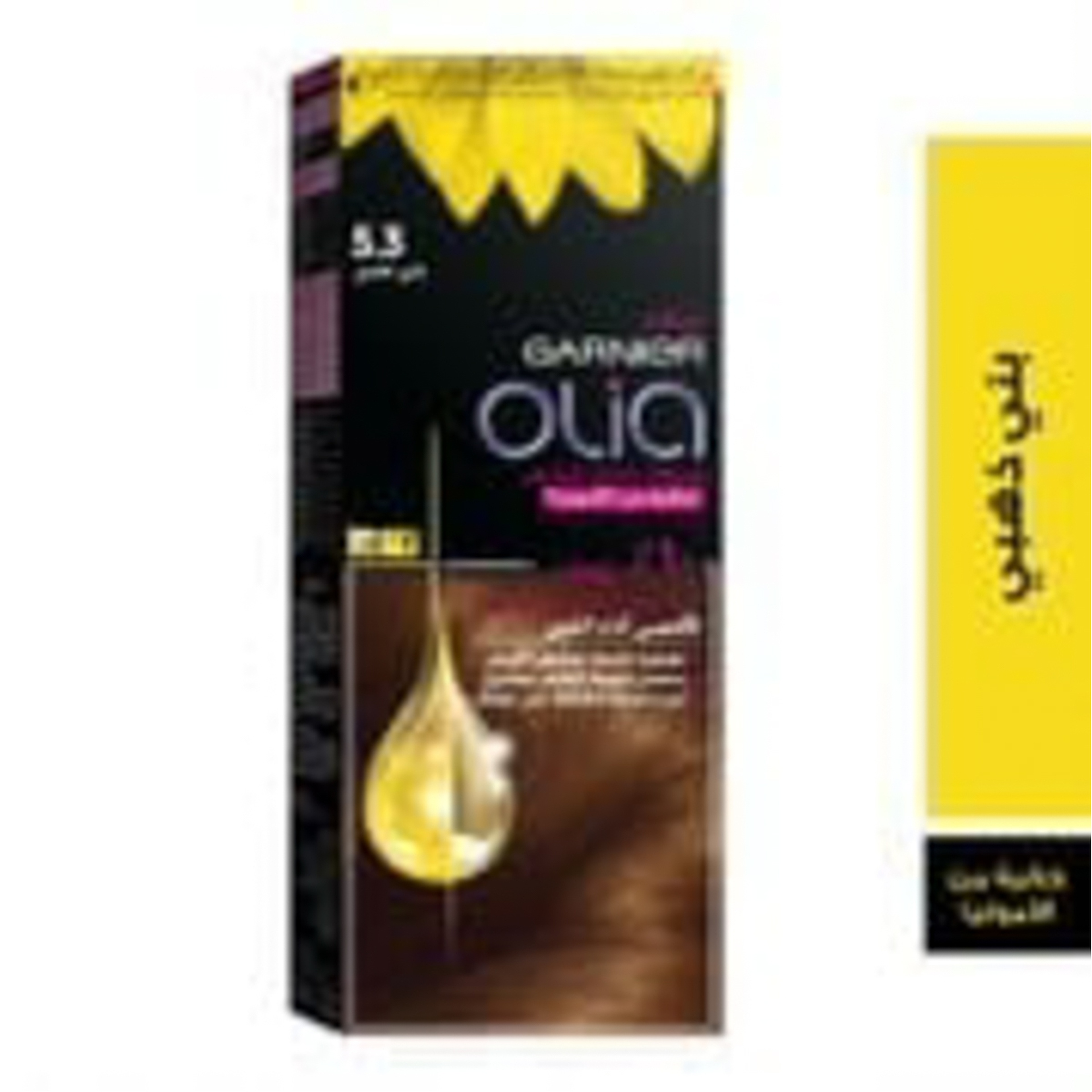 Garnier Olia No Ammonia Permanent Haircolor, With 60% Oils