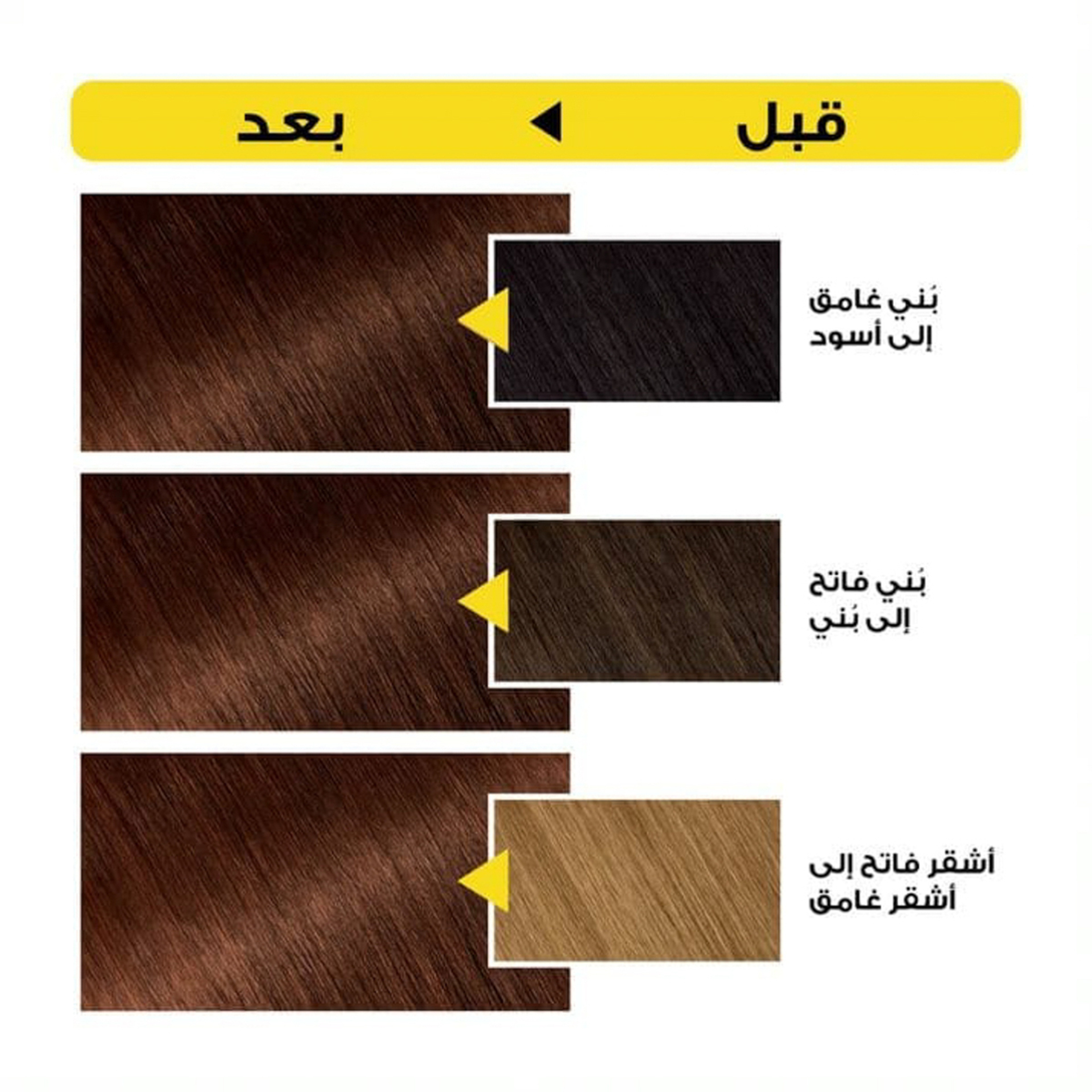 Garnier Olia No Ammonia Permanent Haircolor, With 60% Oils