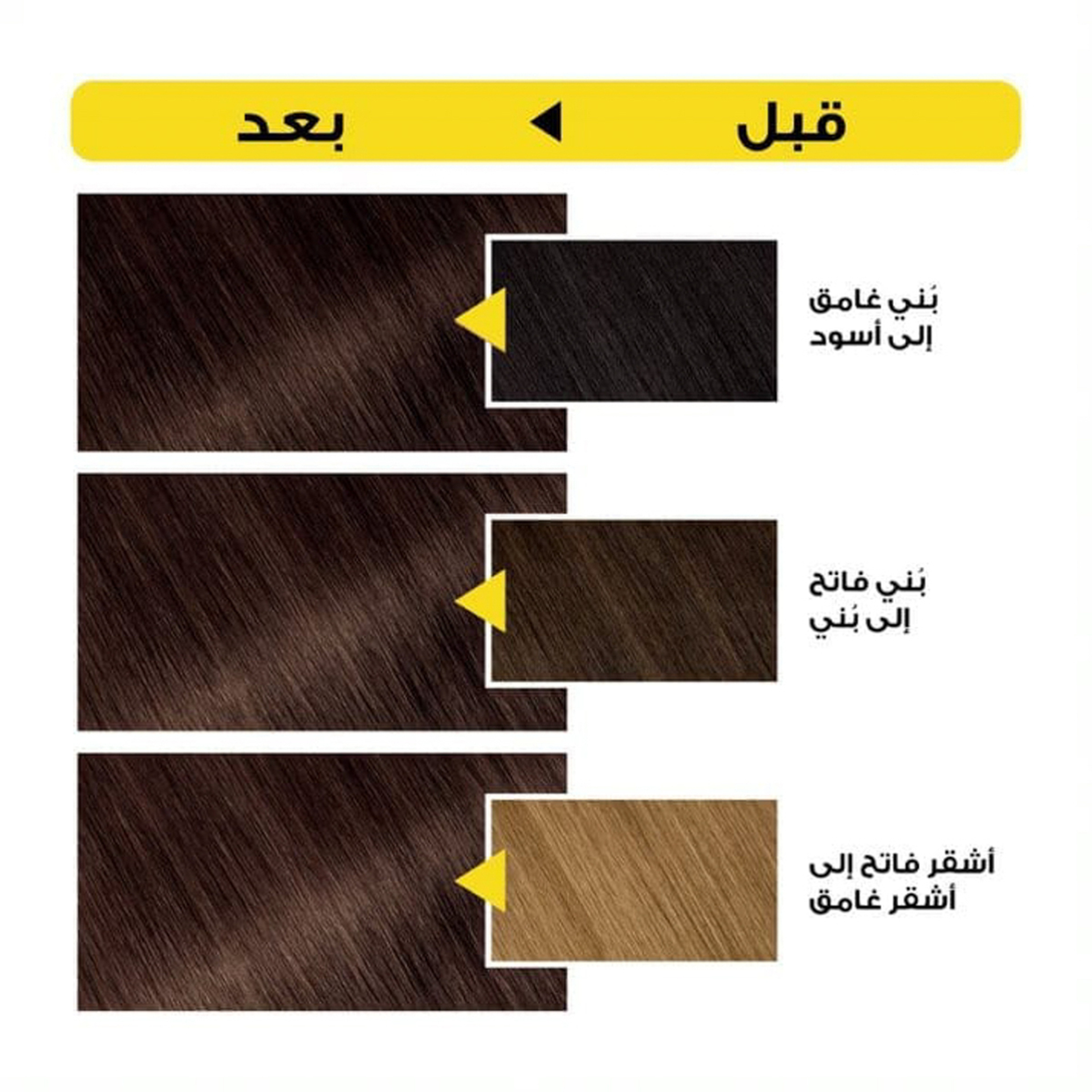 Garnier Olia No Ammonia Permanent Haircolor, With 60% Oils