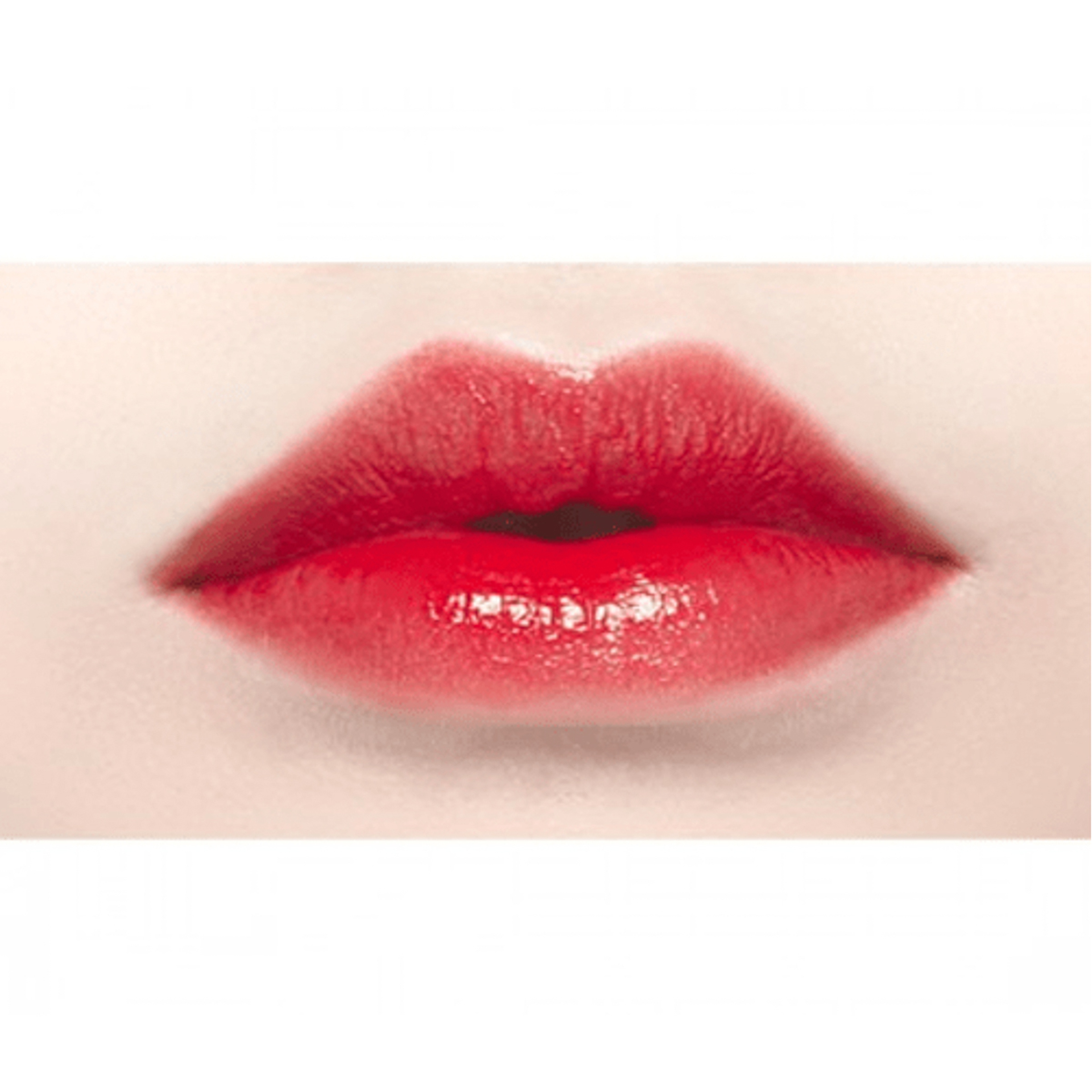 اتيود هاوس تنت