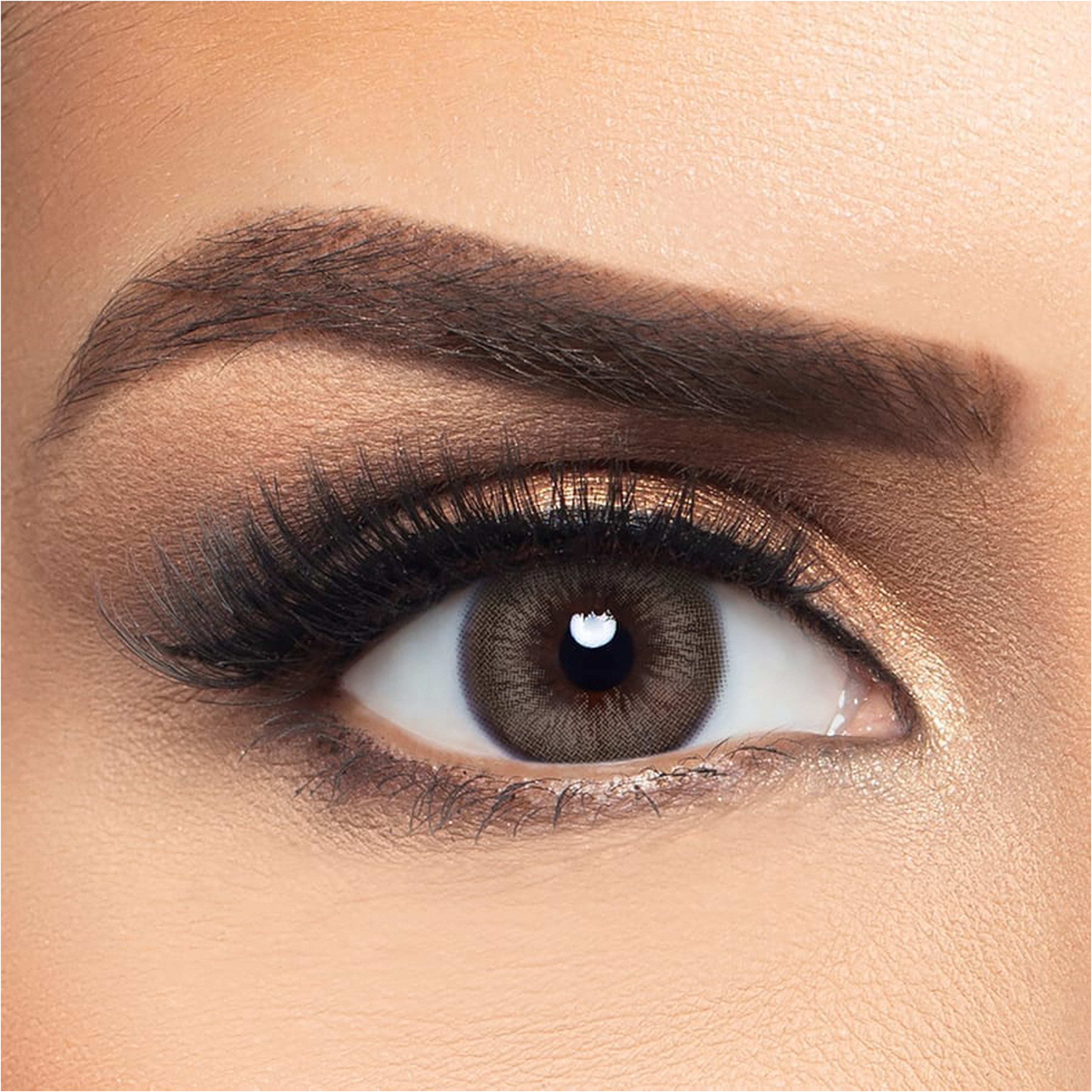 Layala Color Lenses - Sable Brown