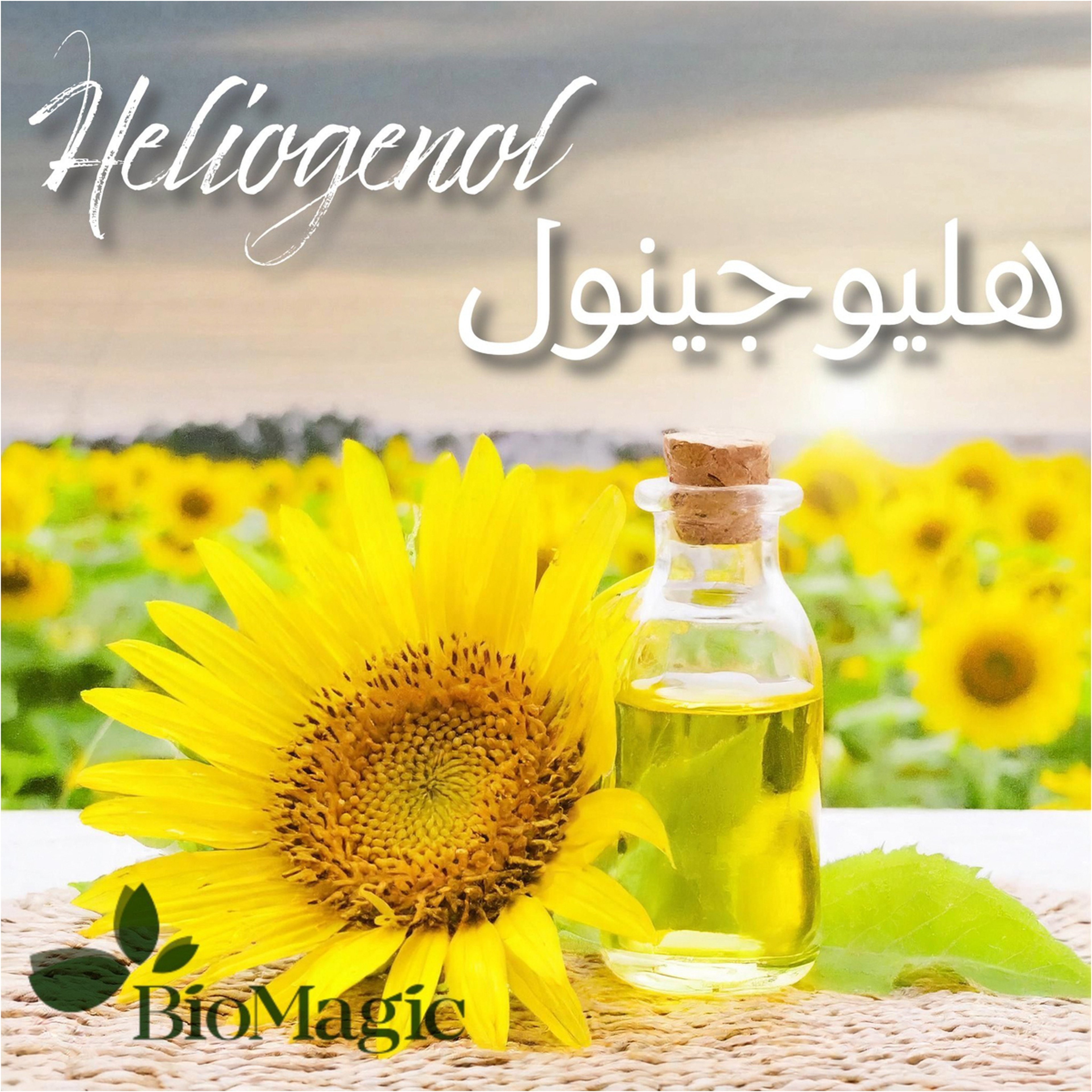 بيوماجيك صبغة الشعر