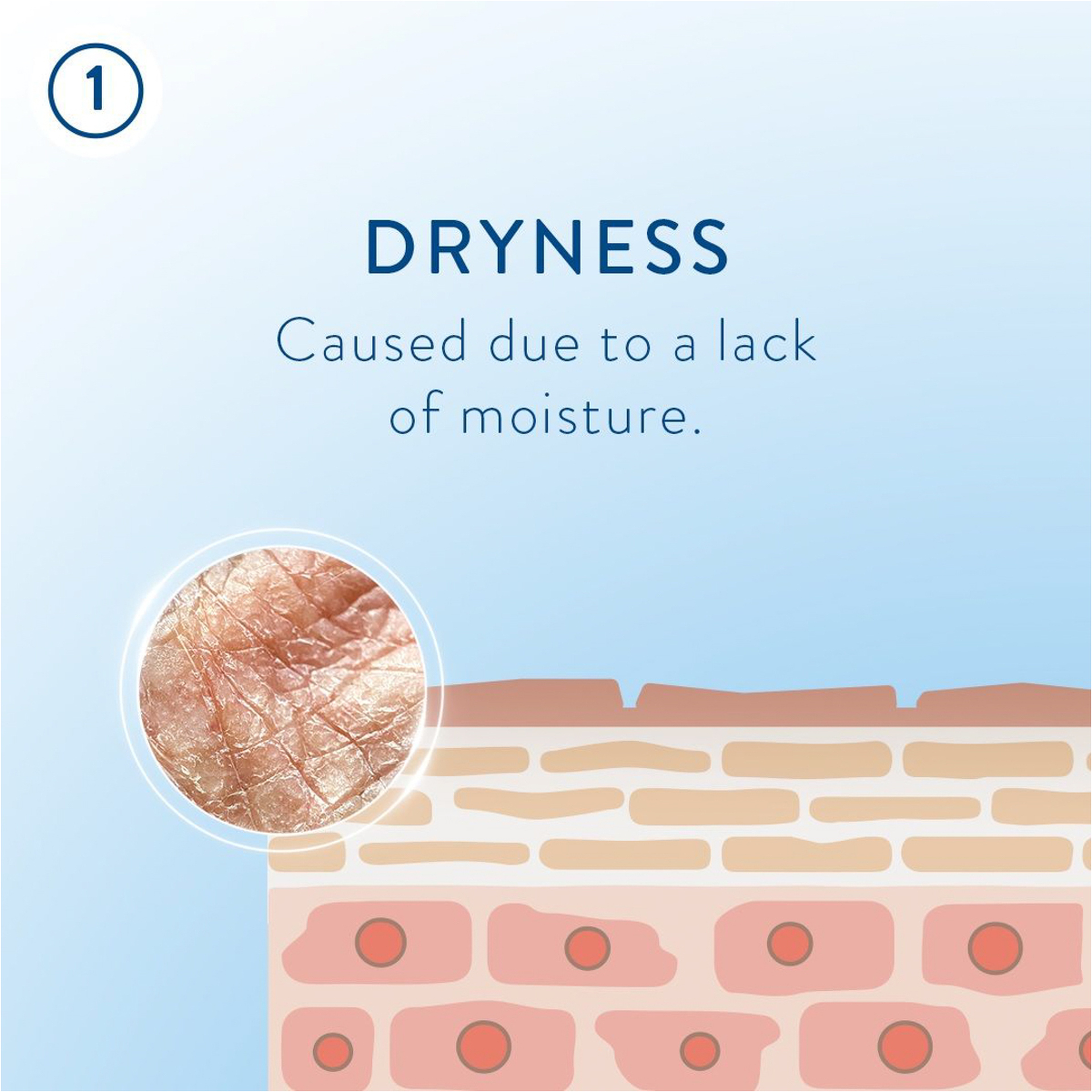 Face & Body Moisturizing Cream Jar - 453G