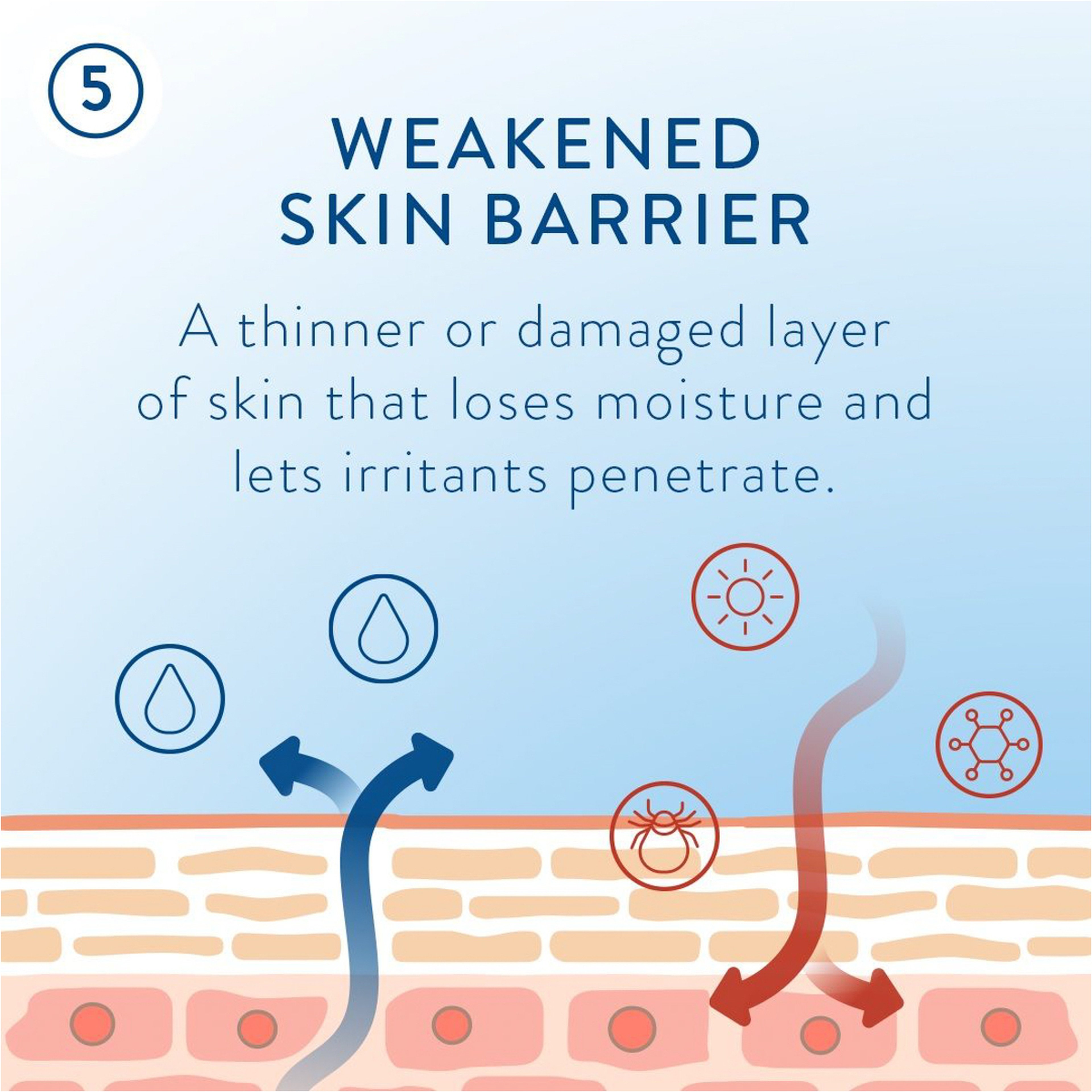 Face & Body Moisturizing Cream Jar - 453G