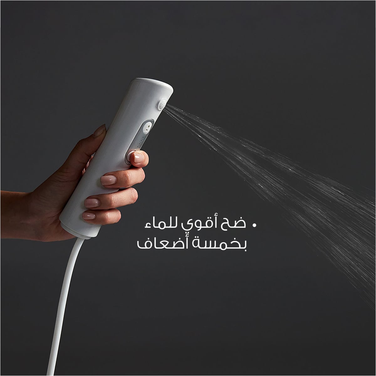 صورة 3