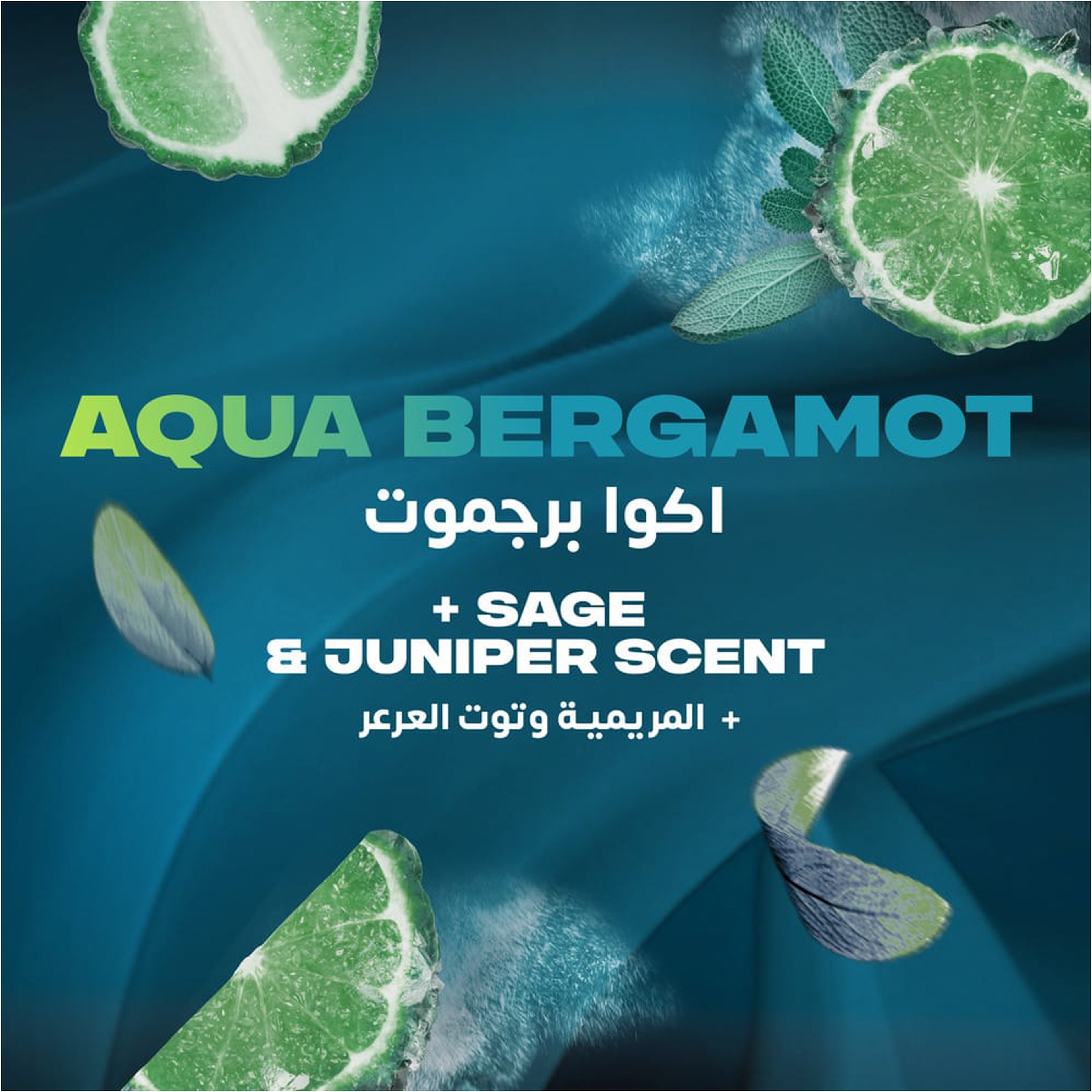 أكس ايرو   أكوا بيرغاموت  اسبري 150مل