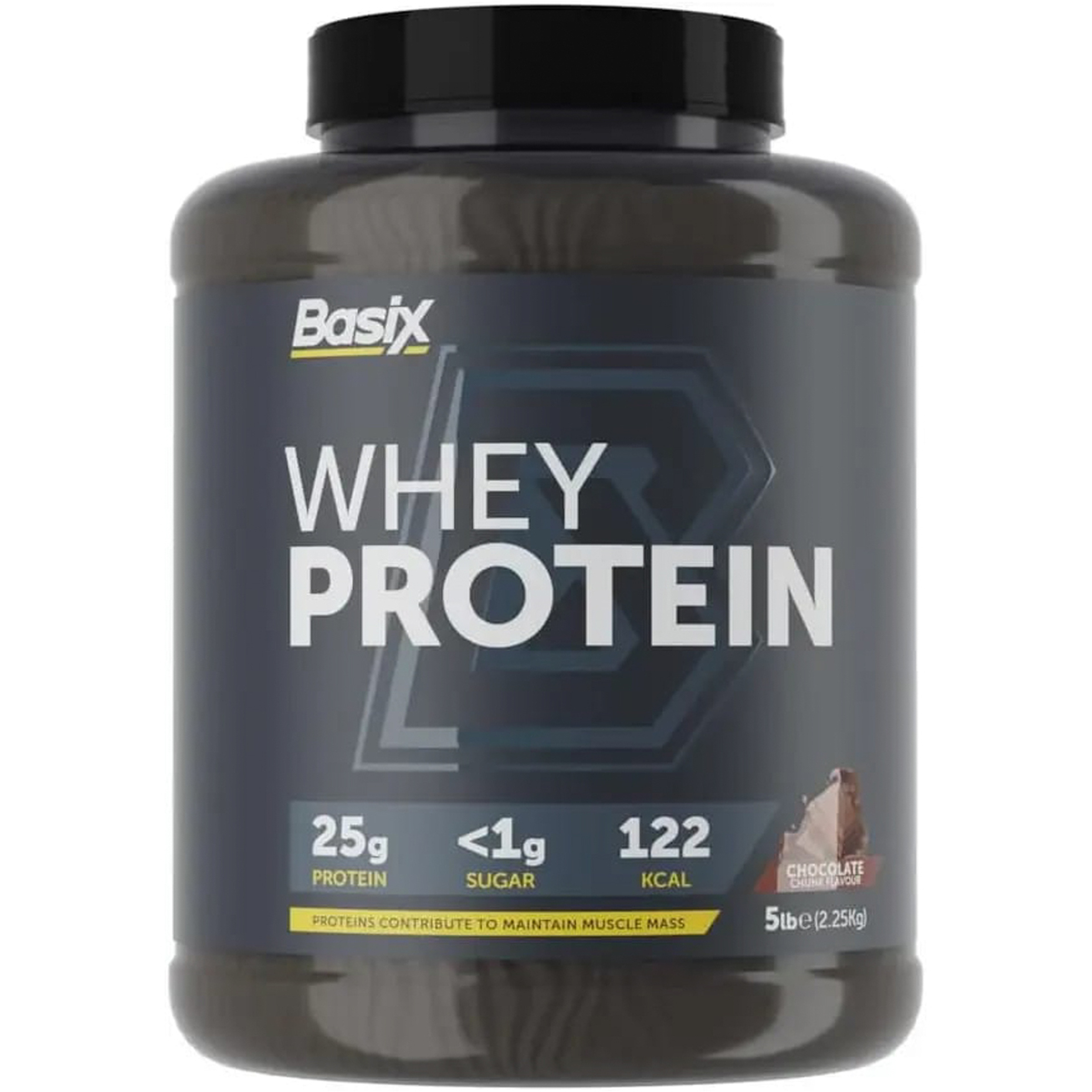 Basix Whey Protein Chocolate Chunk