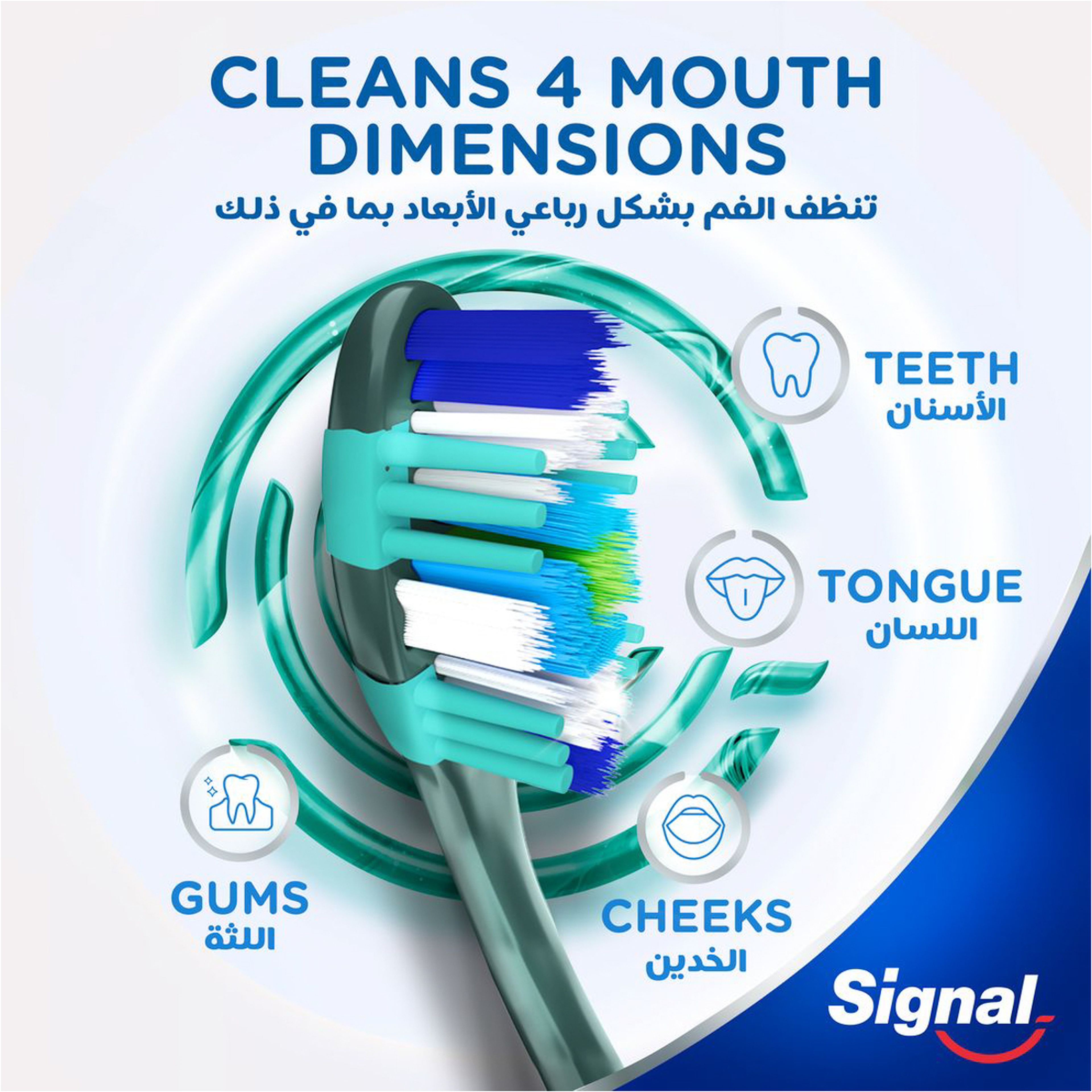 Signal 4D Clean Medium Soft Toothbrush  2 Piece