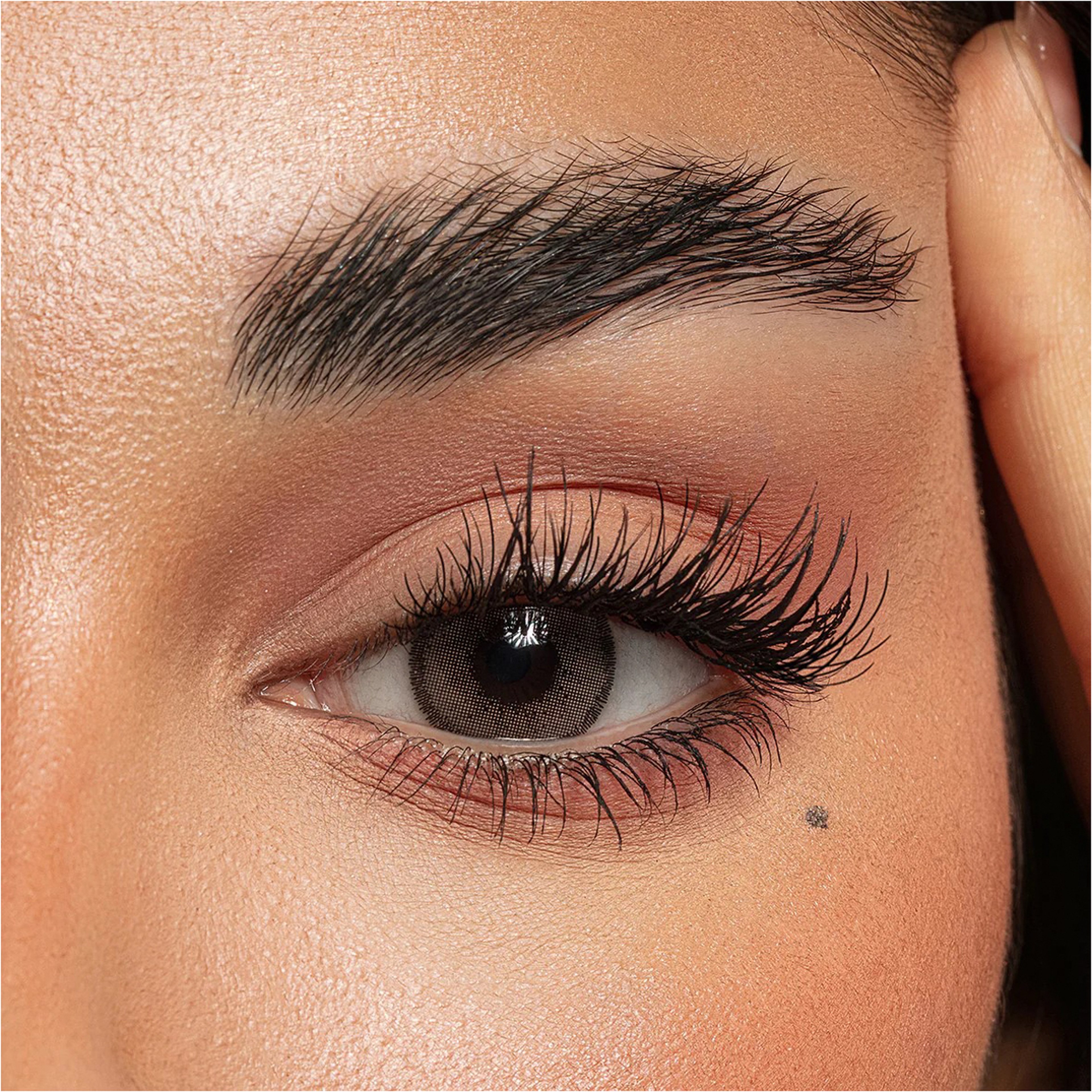 Amara Color Lenses - Chai