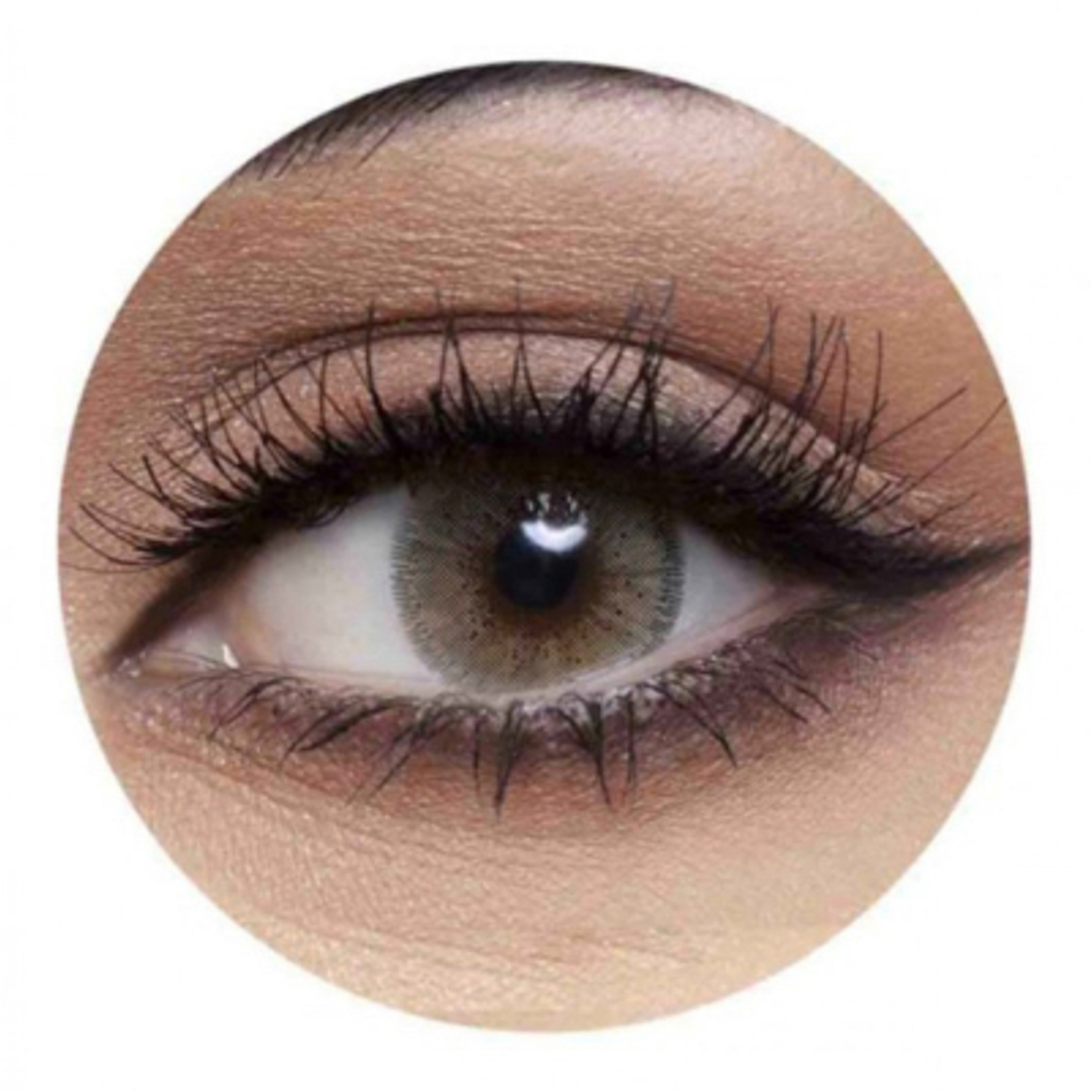 اناستازيا عدسات لاصقة شهرية