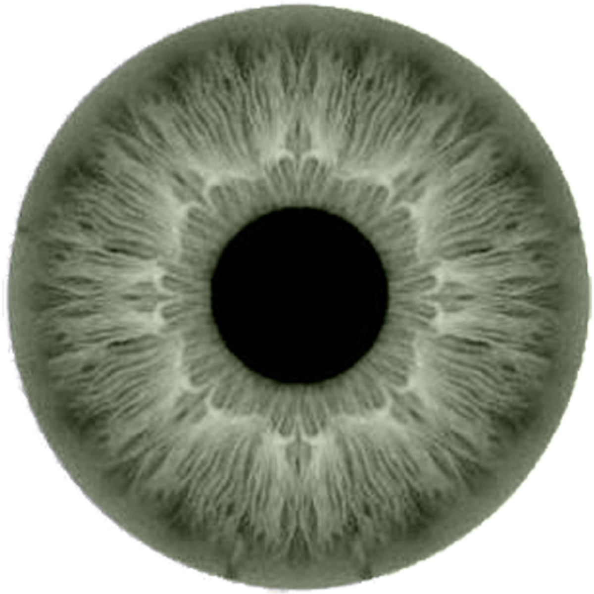 صورة 2