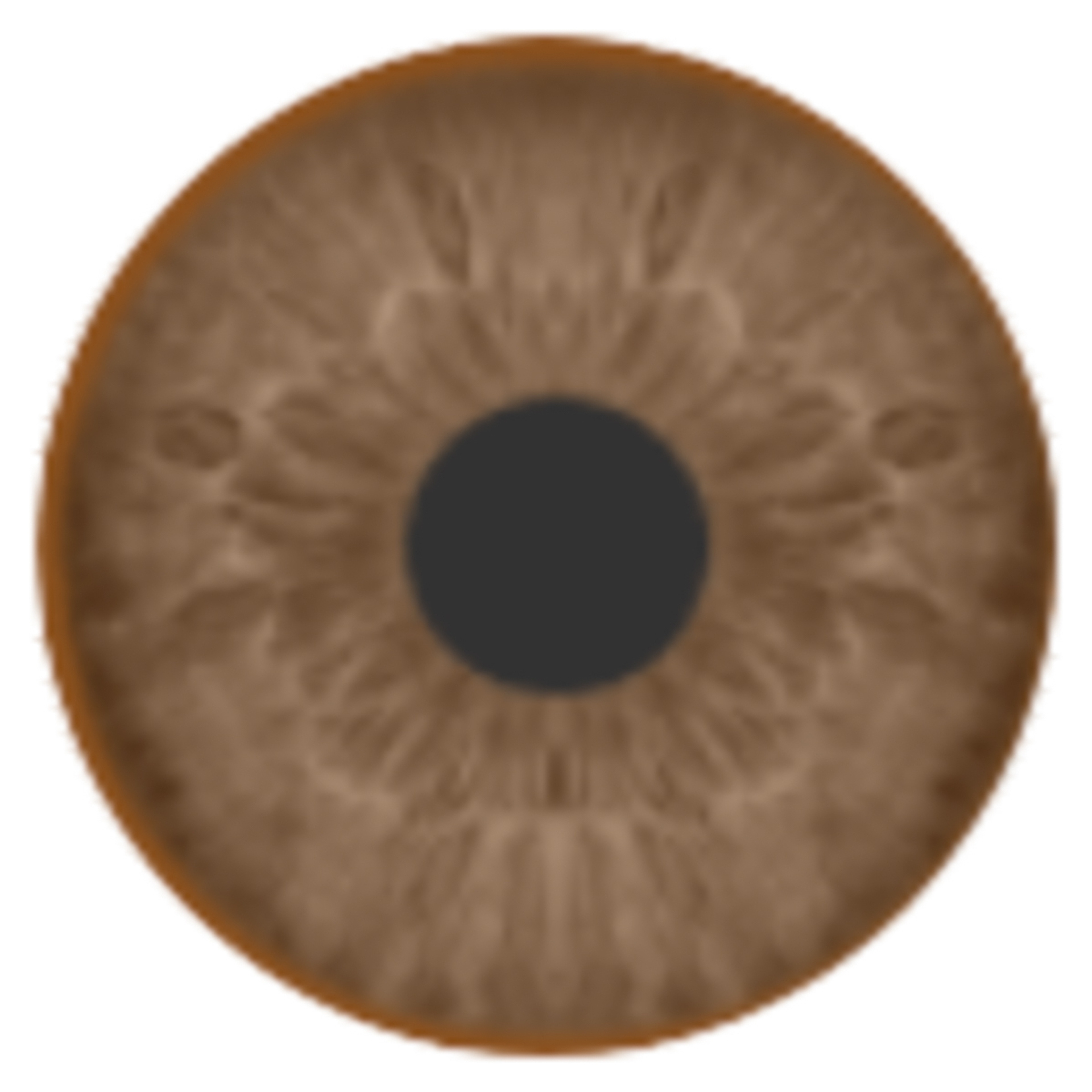 اناستازيا عدسات لاصقة شهرية