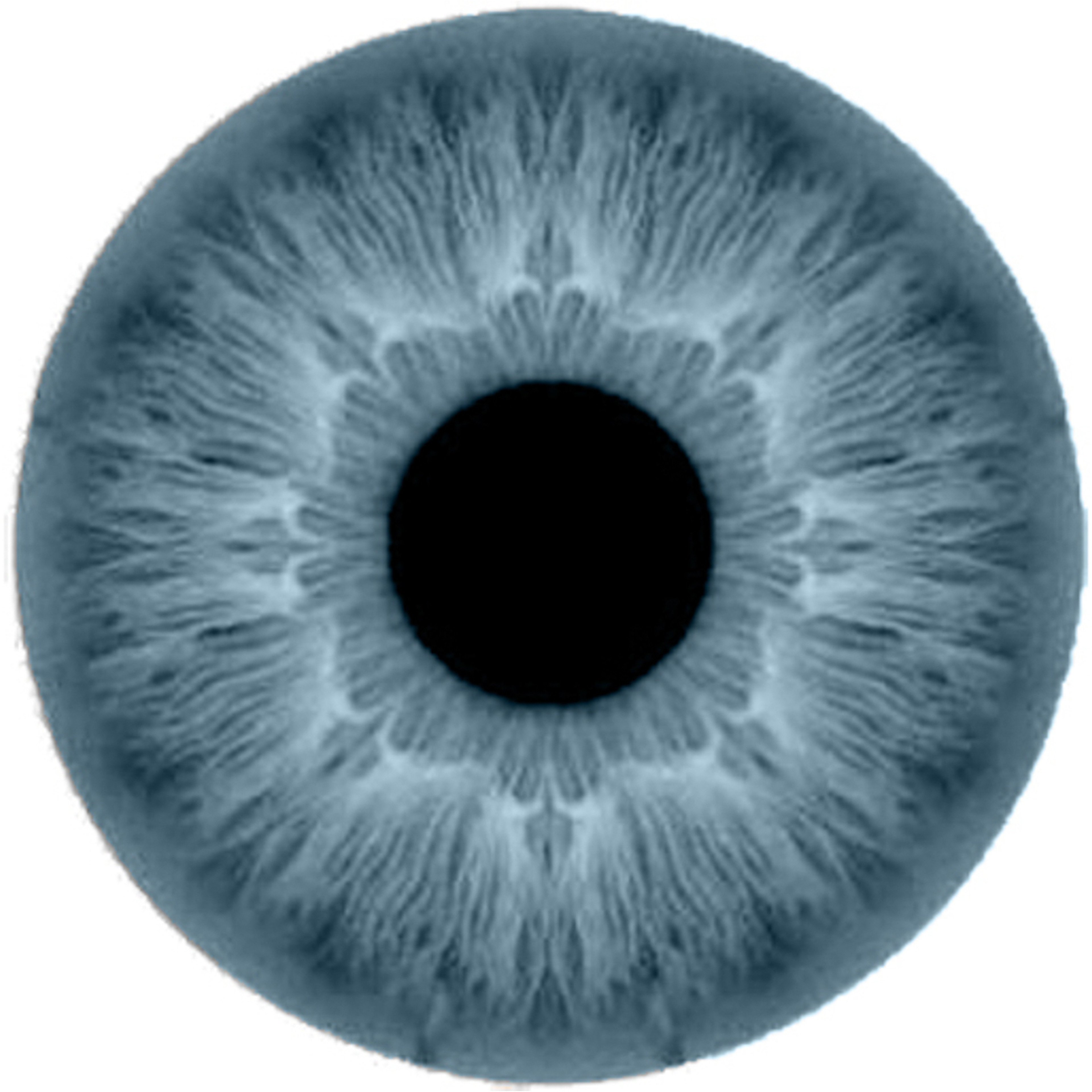 أمارا عدسات يومية